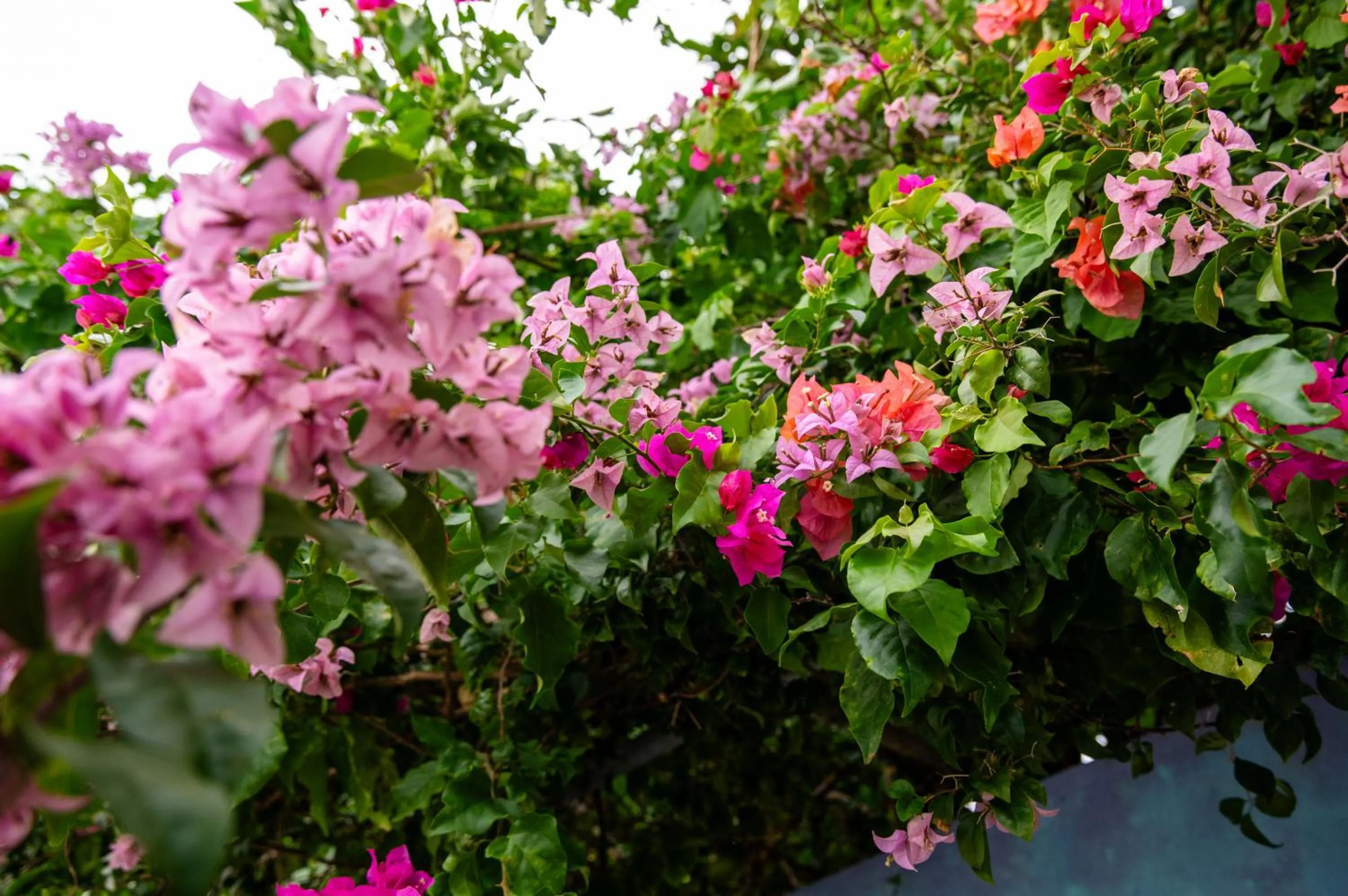 Neighbourhood in Biosphere Inn