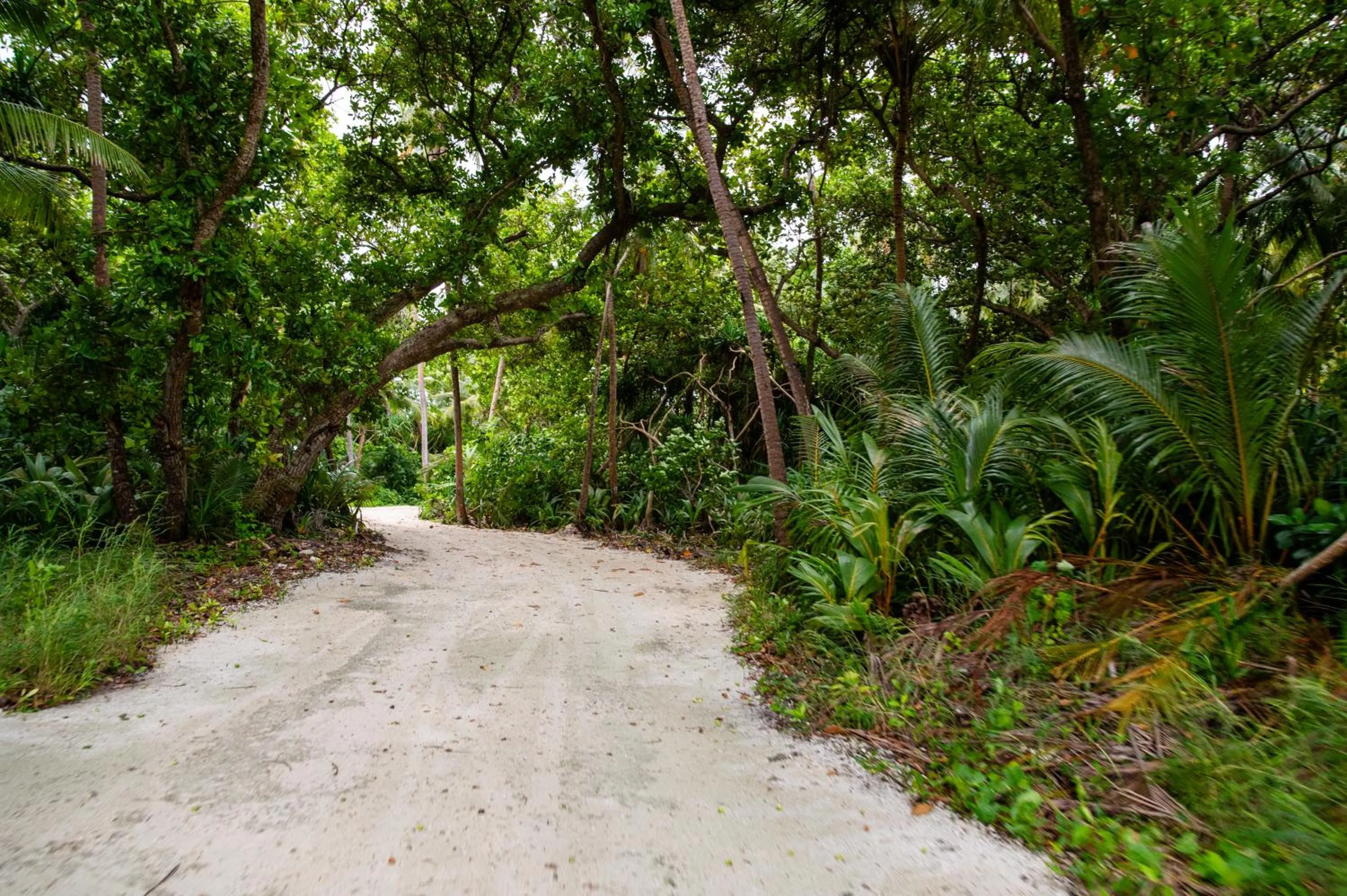 Beach in Biosphere Inn