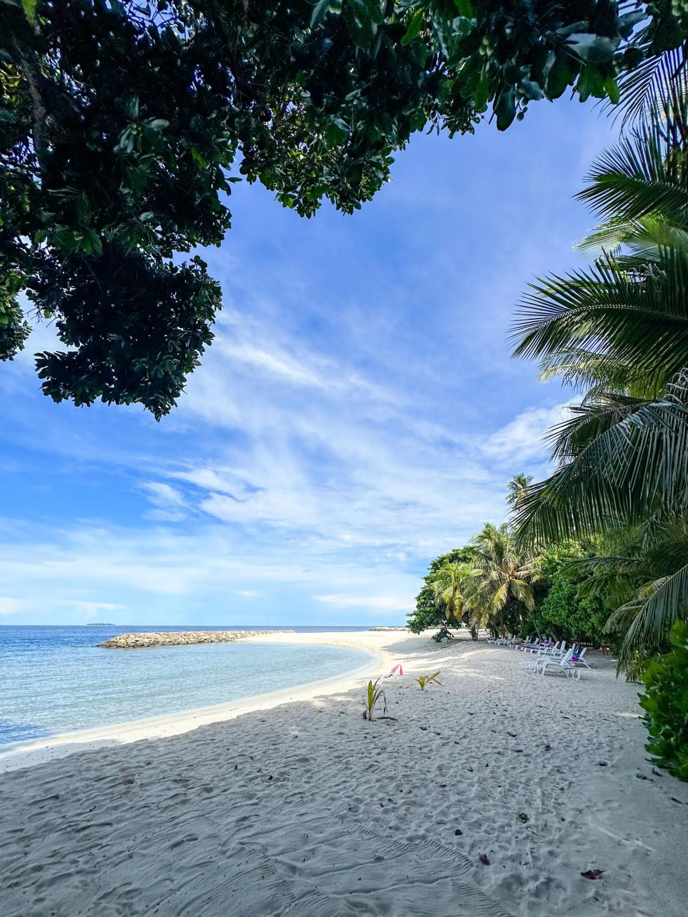 Day in Biosphere Inn