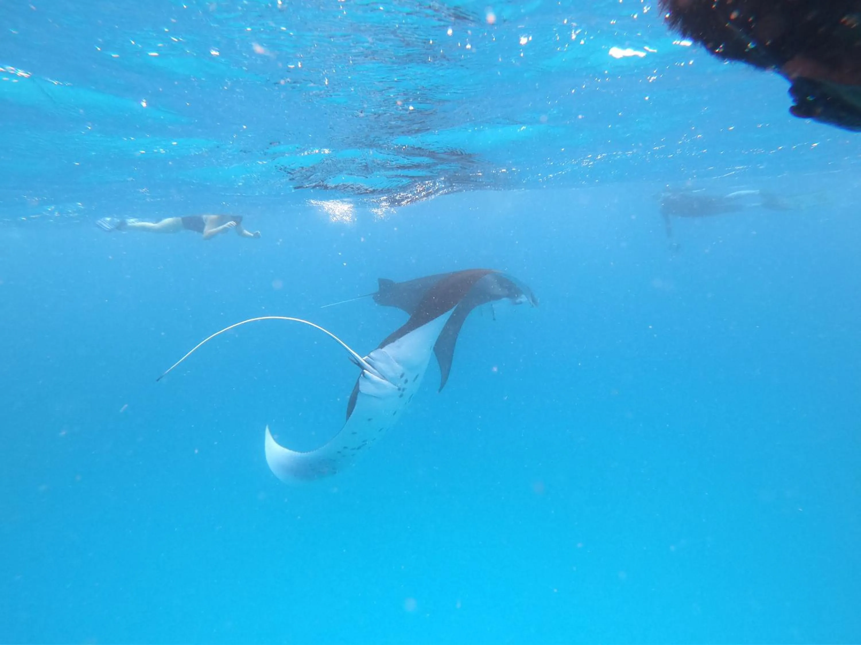 Natural landscape in Biosphere Inn
