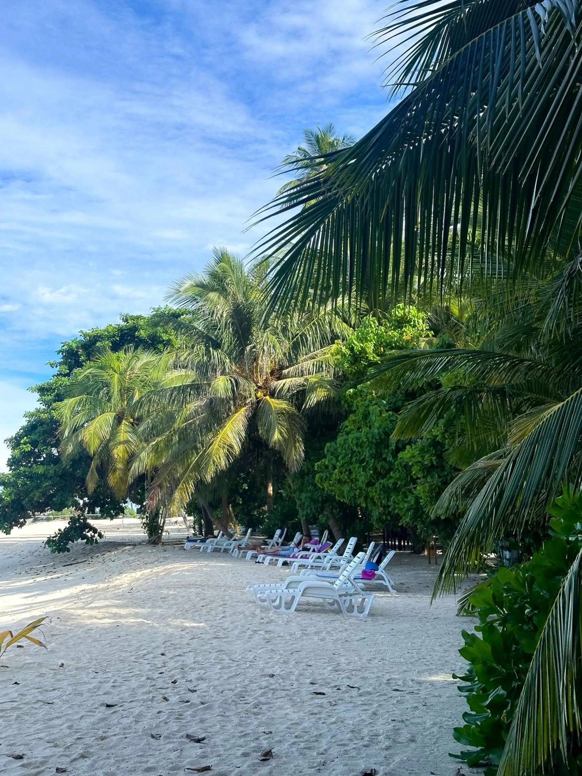 Natural landscape in Biosphere Inn
