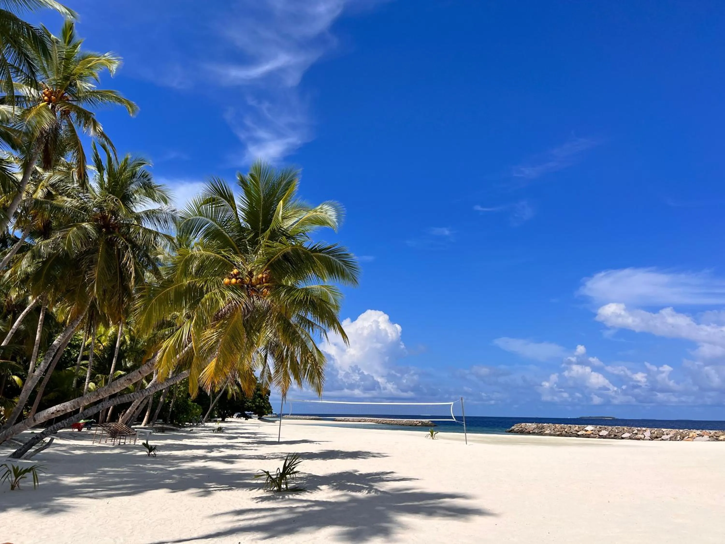 Natural landscape in Biosphere Inn