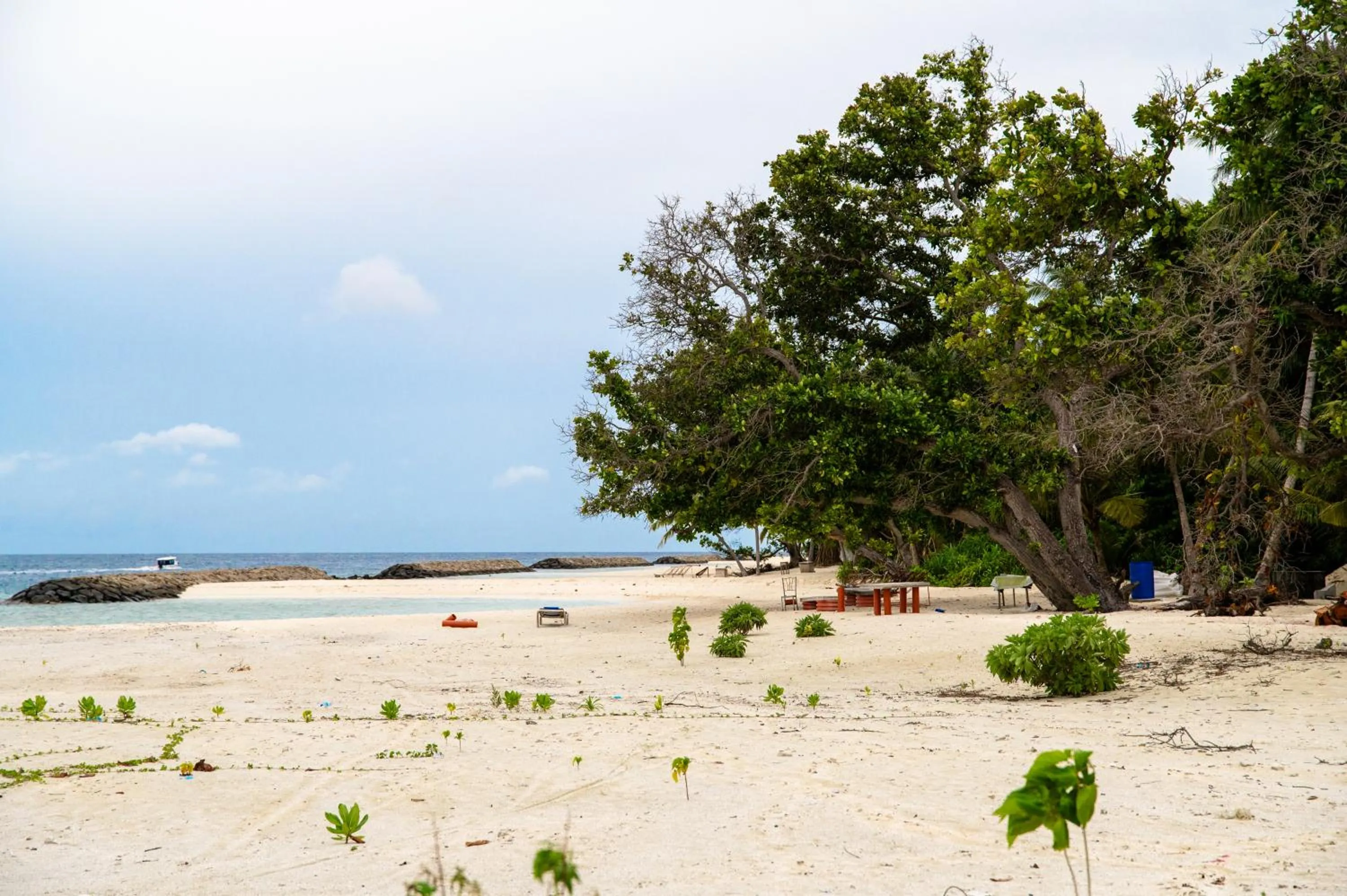 Beach in Biosphere Inn