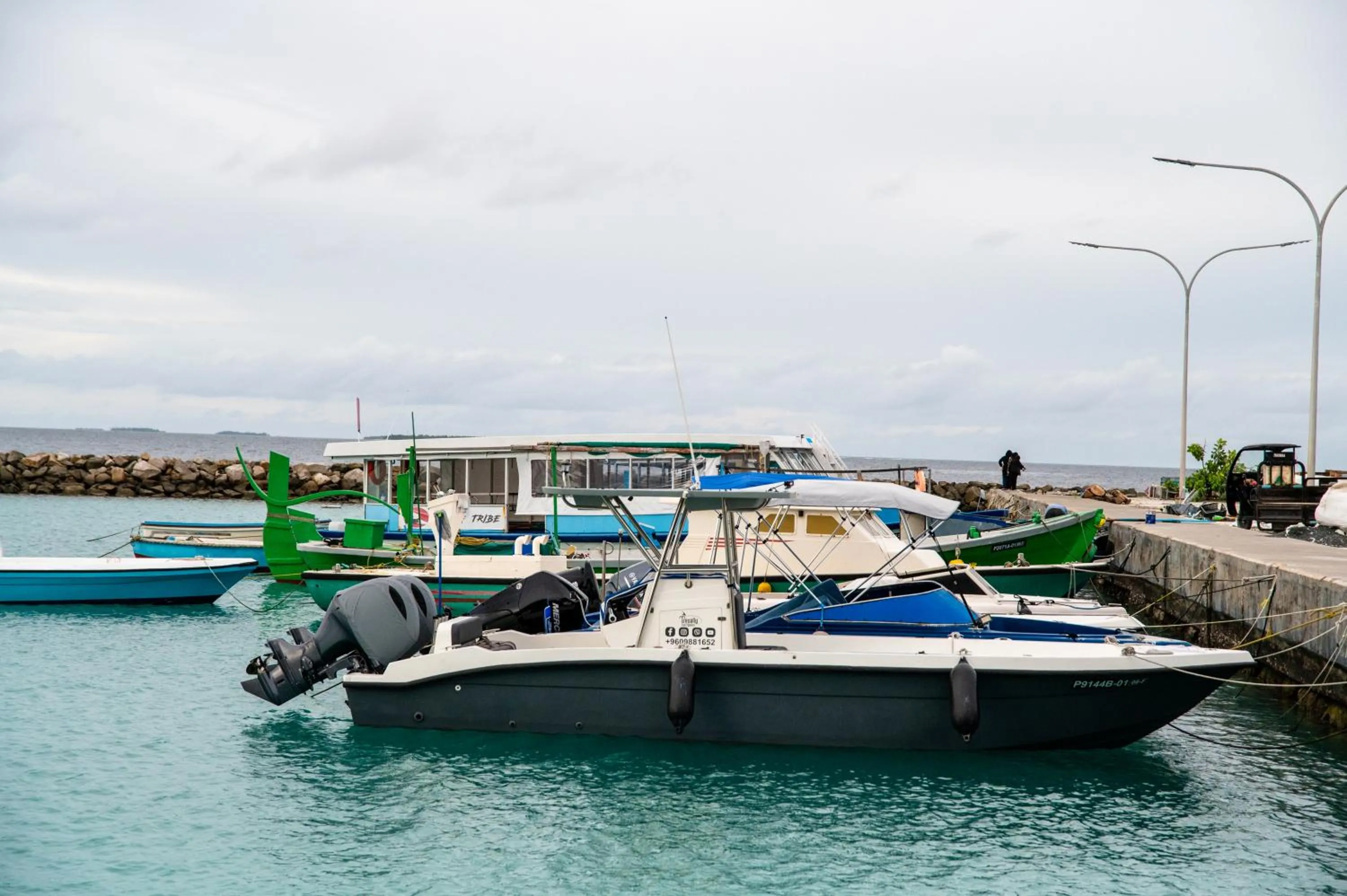 Activities in Biosphere Inn