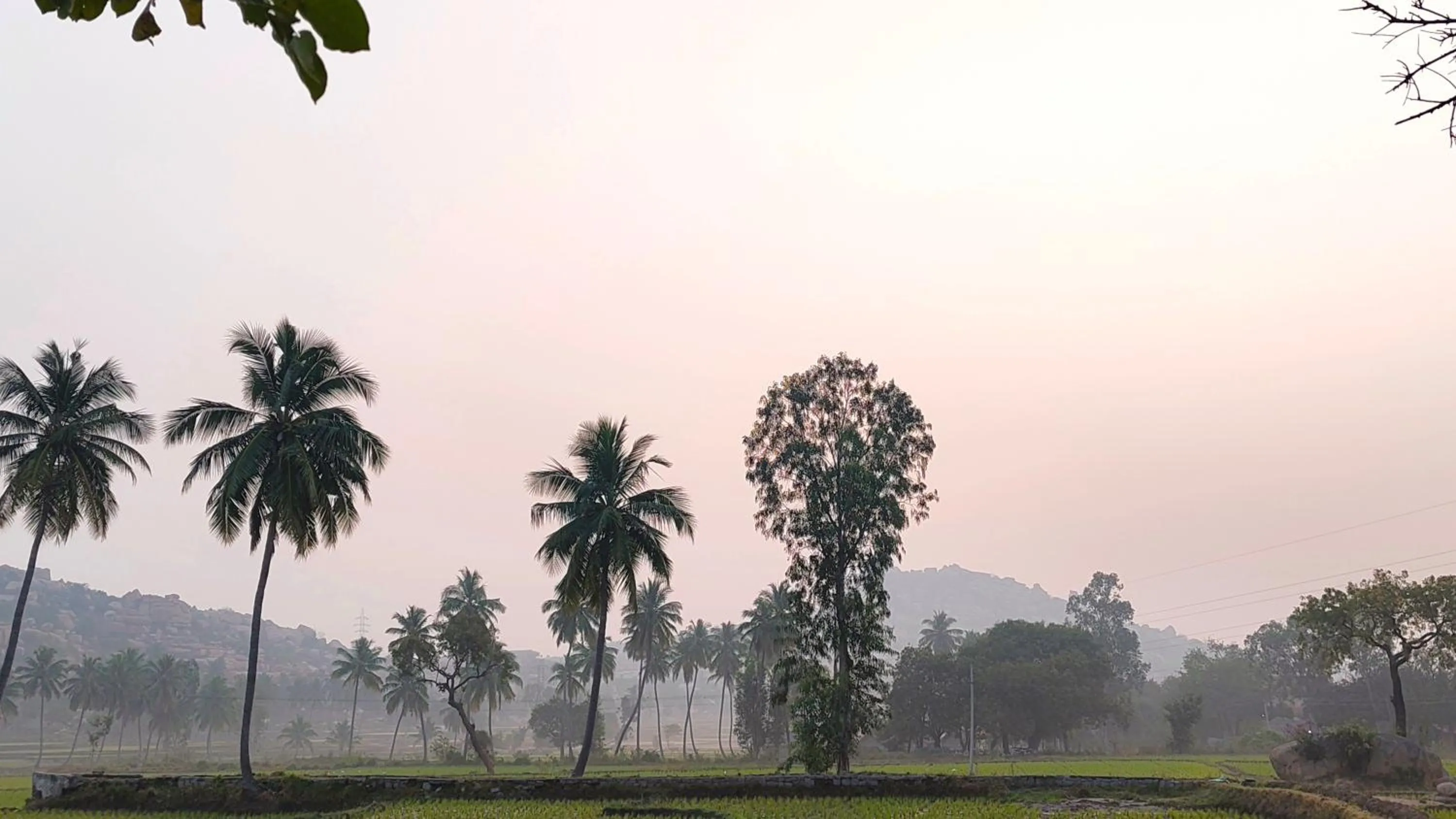 Rambo homestay hampi