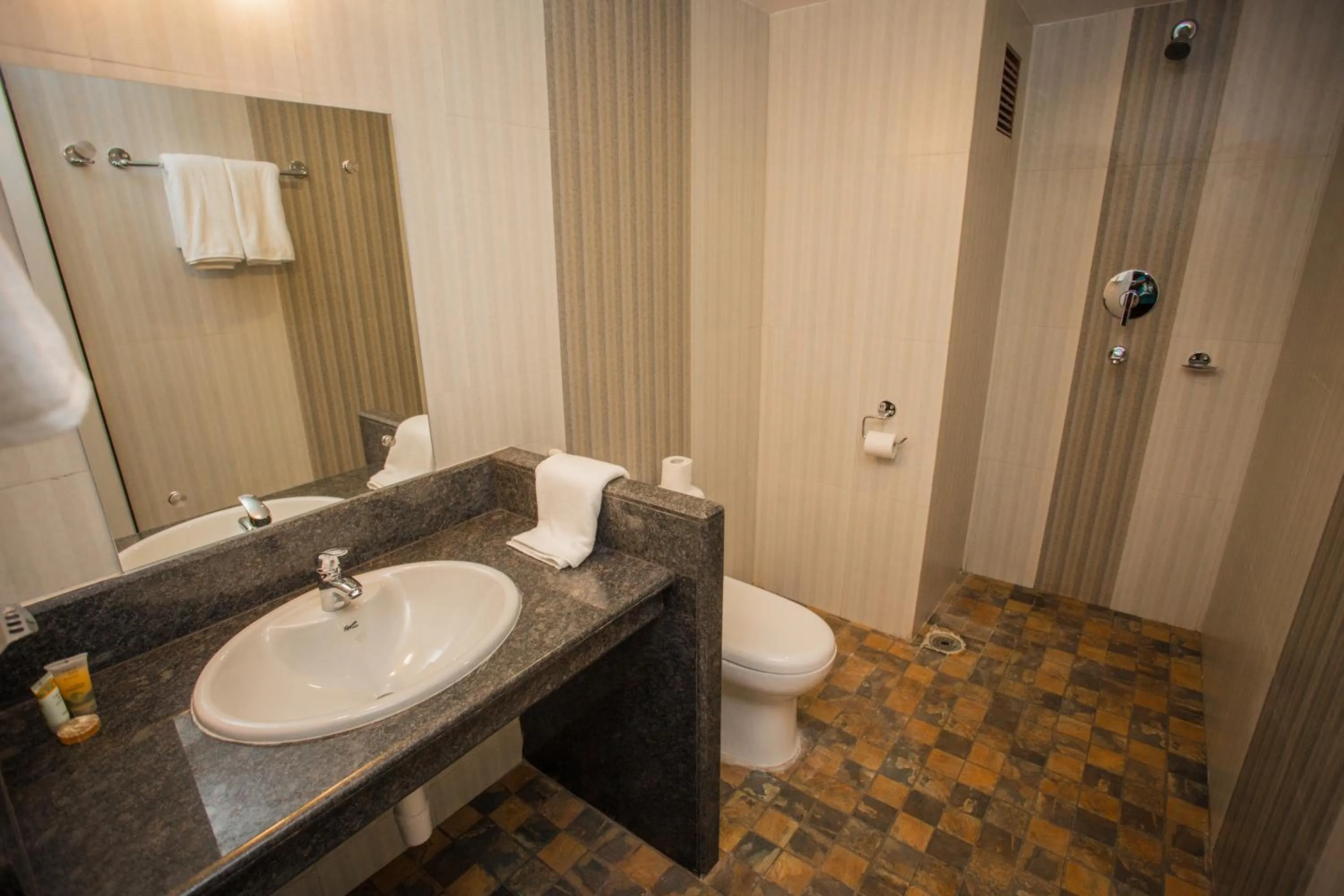 Bathroom in Pokhara Choice Inn