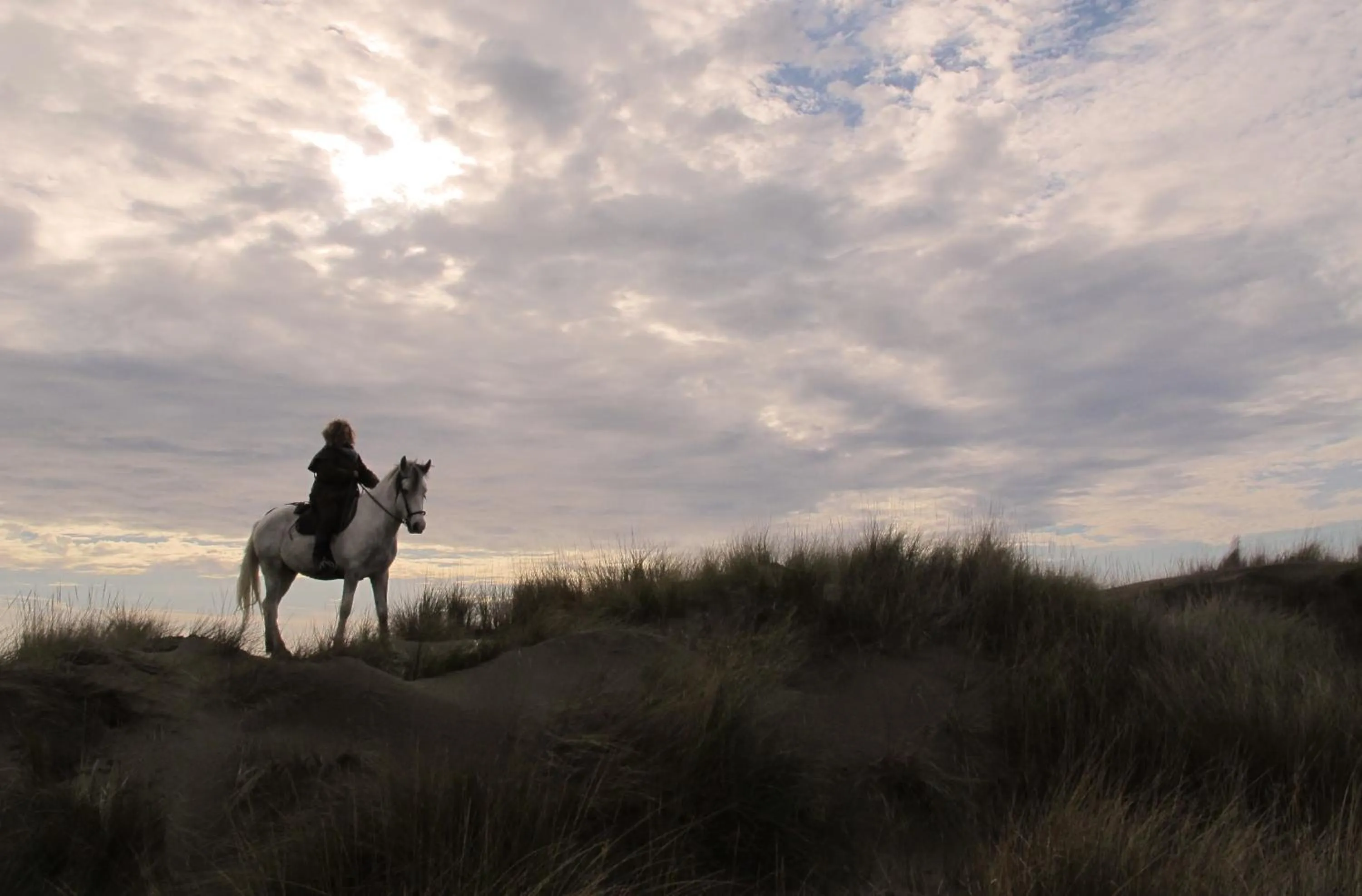 Horse-riding in Cacharel