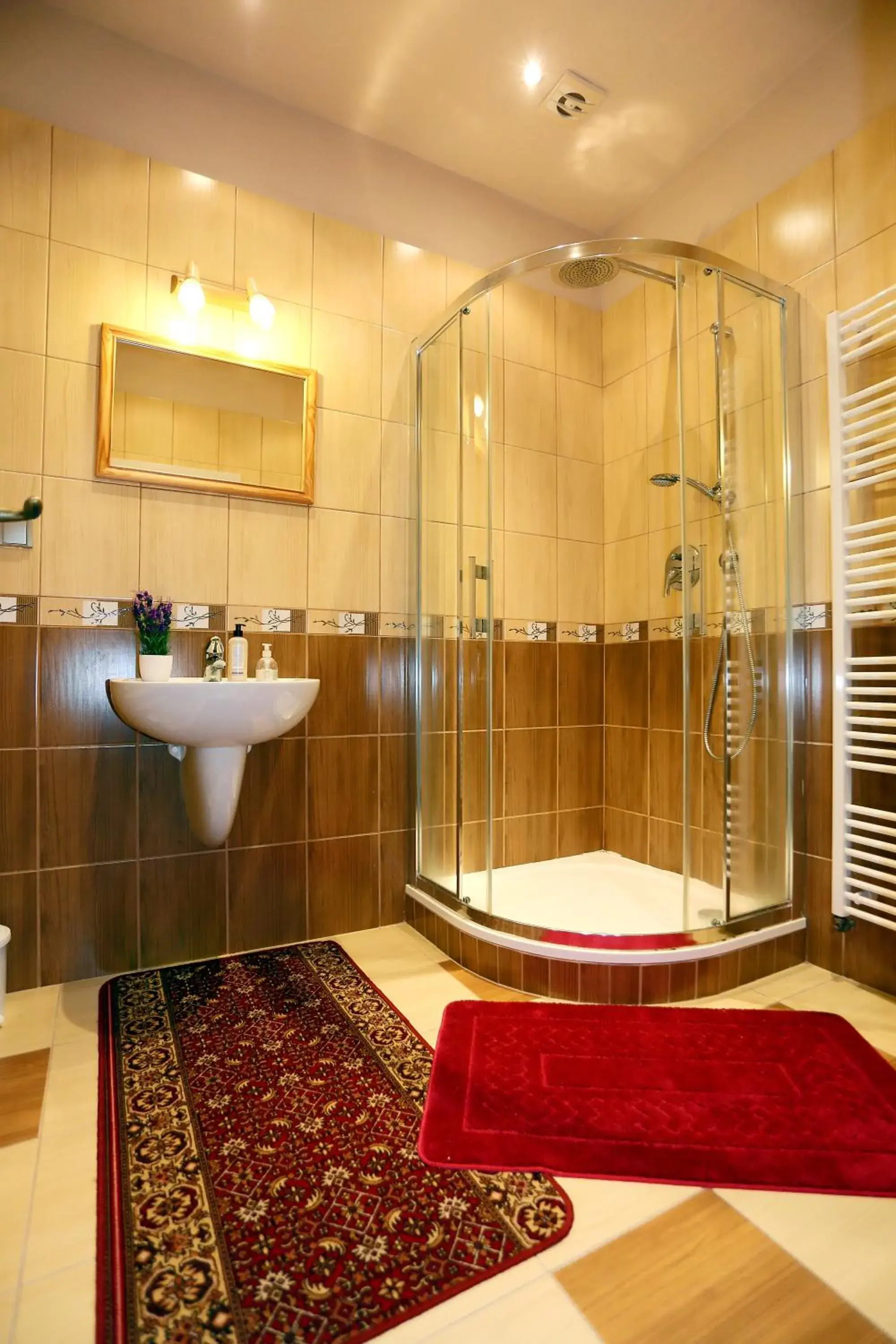 Standard Double Room with Shared Bathroom in Pension Sunset Mezirolí Standard Double Room with Shared Bathroom in Pension Sunset Mezirolí