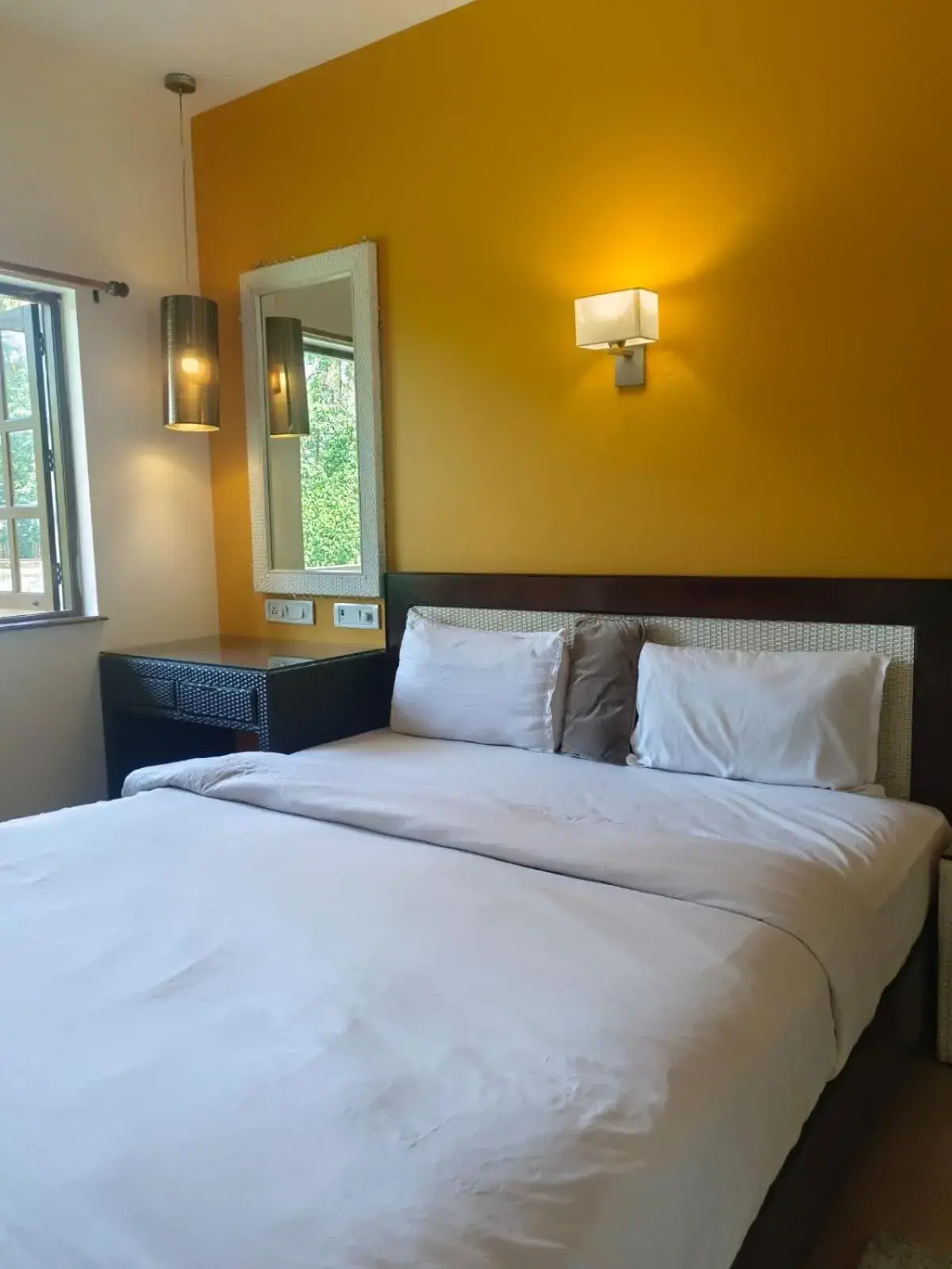Economy Double Room in Hotel Coco Goa Economy Double Room in Hotel Coco Goa