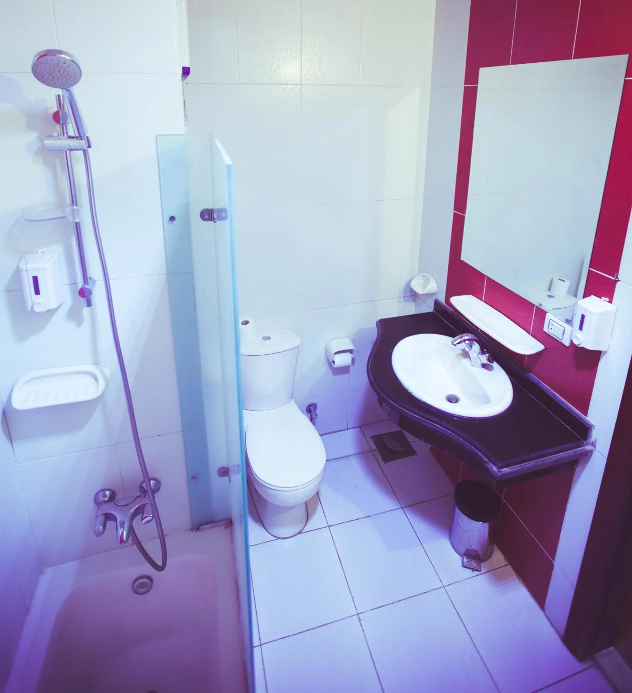 La Viena Health Resort