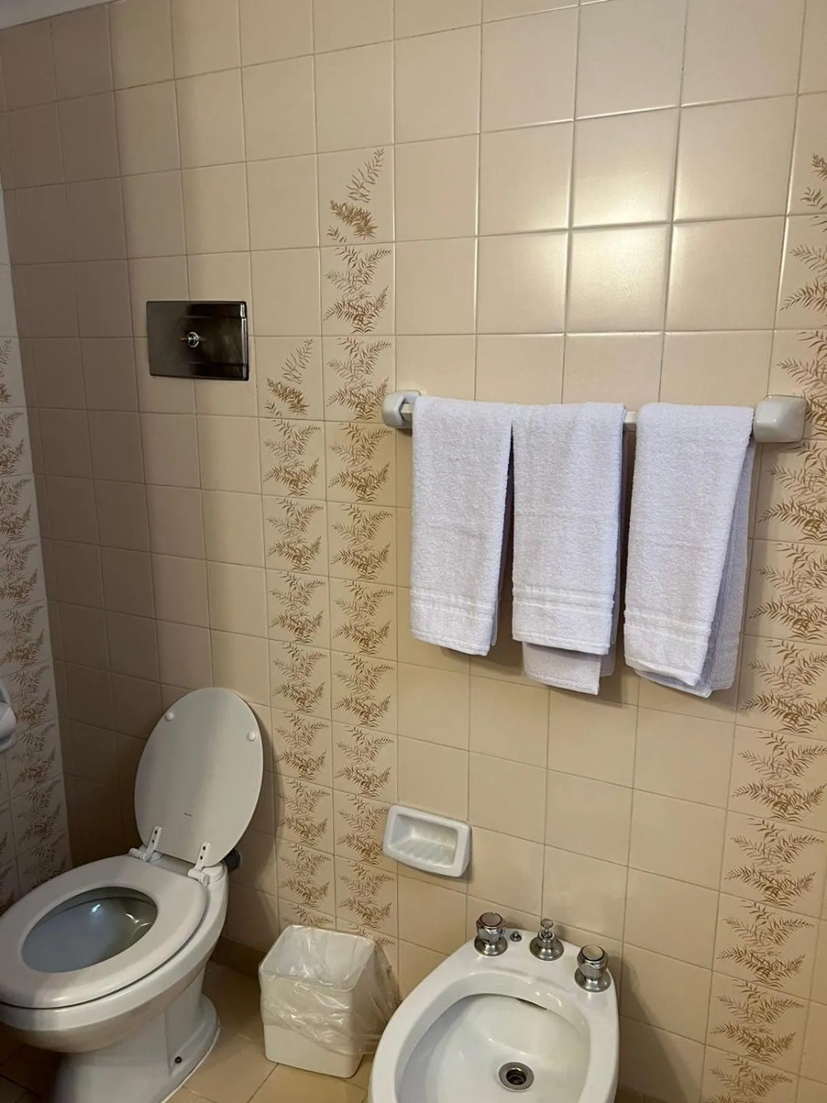 towels in Hotel Concorde