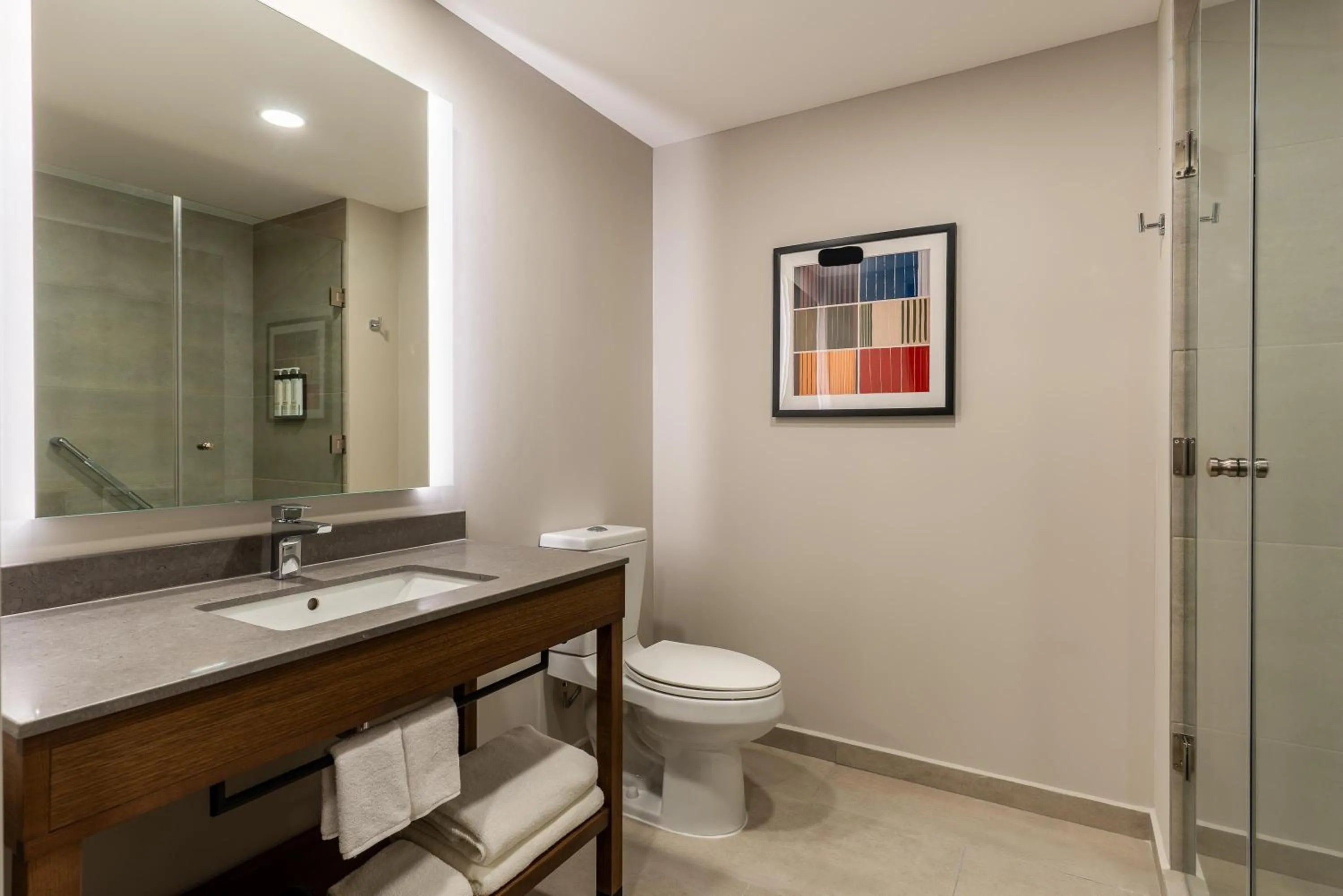 Bathroom in Hyatt Place Merida/ Via Montejo