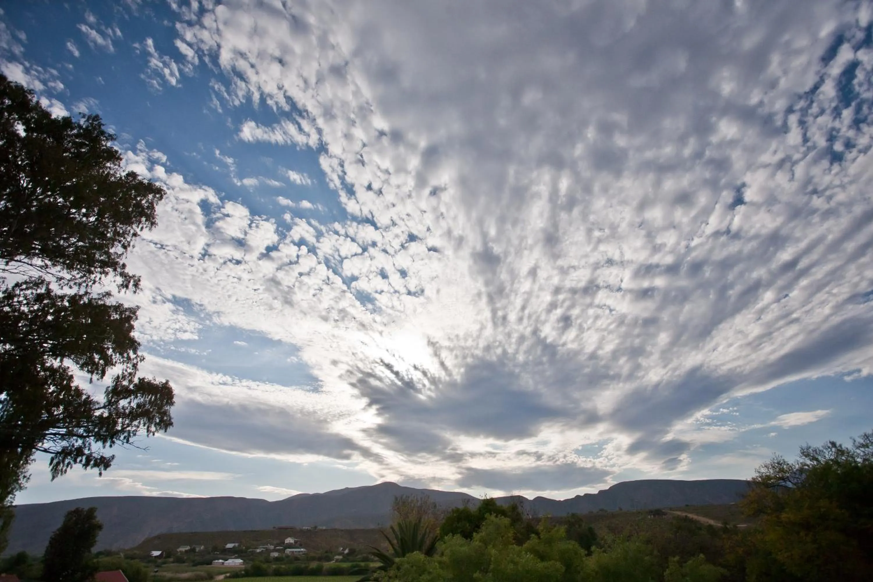 Natural landscape in The Queen Of Calitzdorp