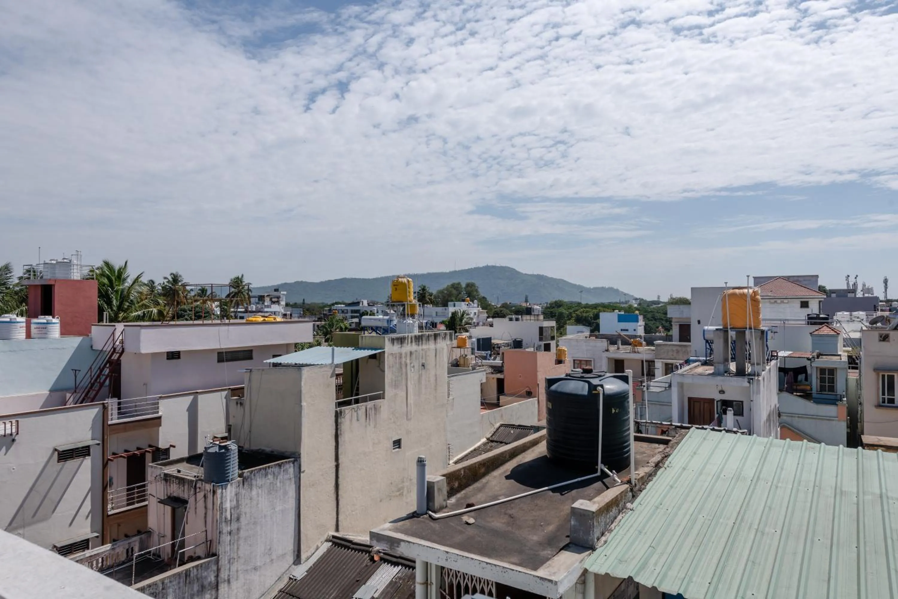 View (from property/room) in Legacy Inn, Mysore