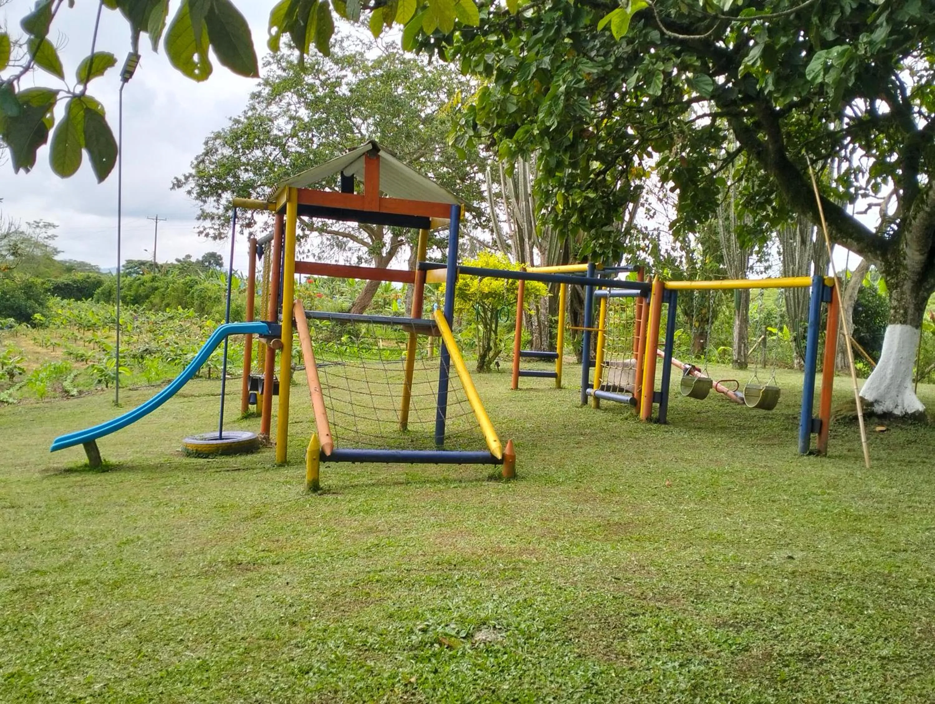 Finca La Colmena De Don Juaco