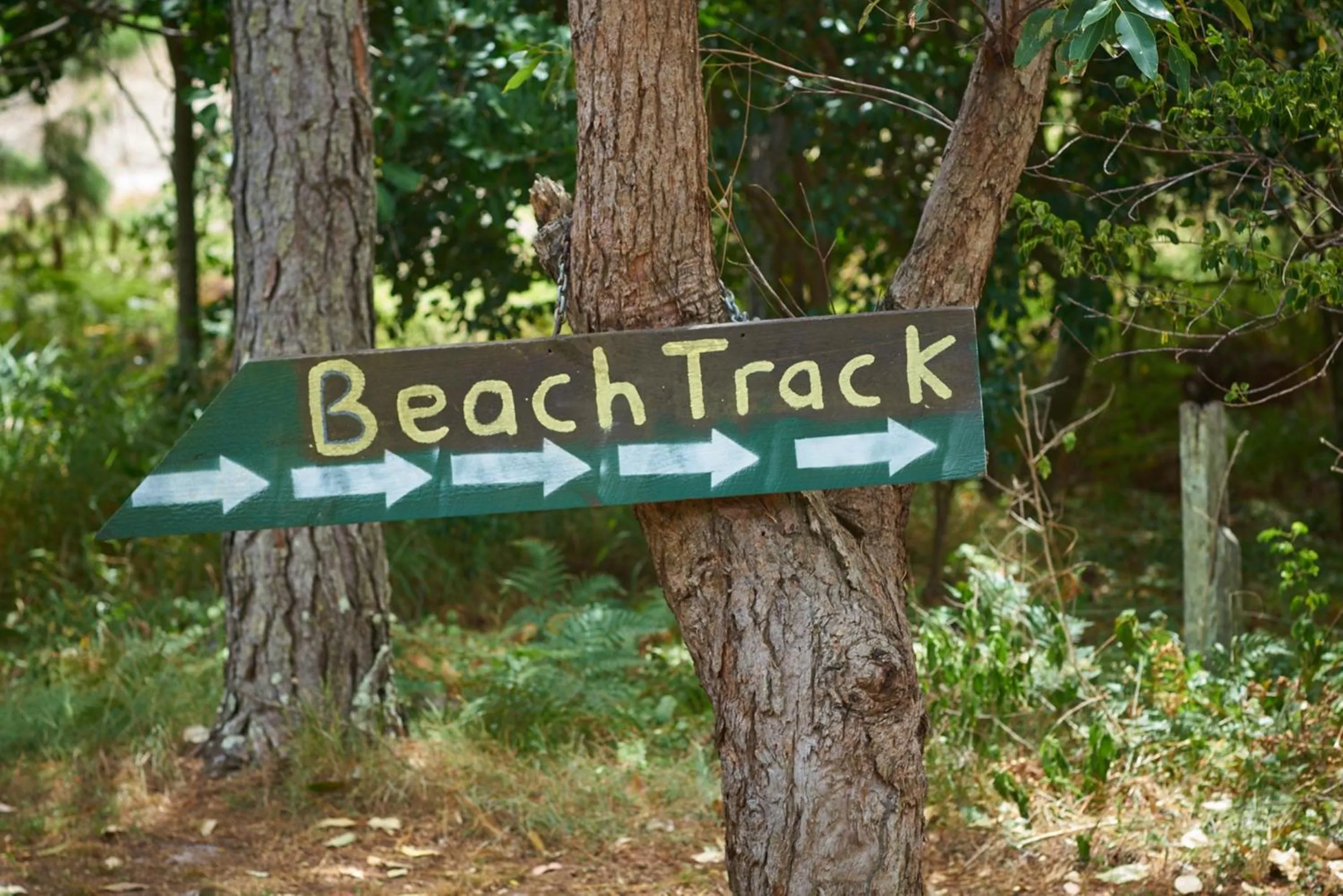 Beach in Ingenia Holidays Byron Bay