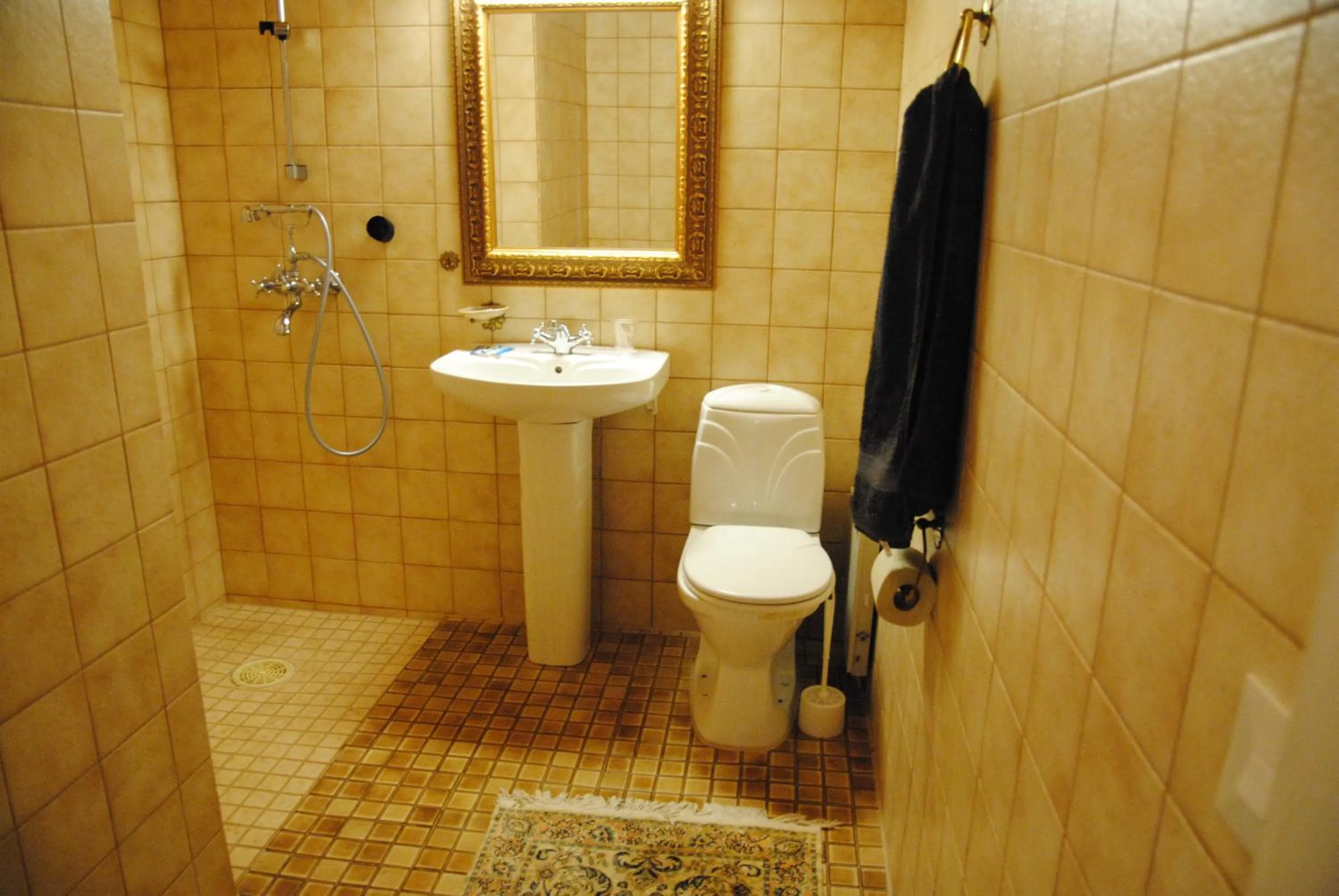 Bathroom in Hotel Villa Antonius