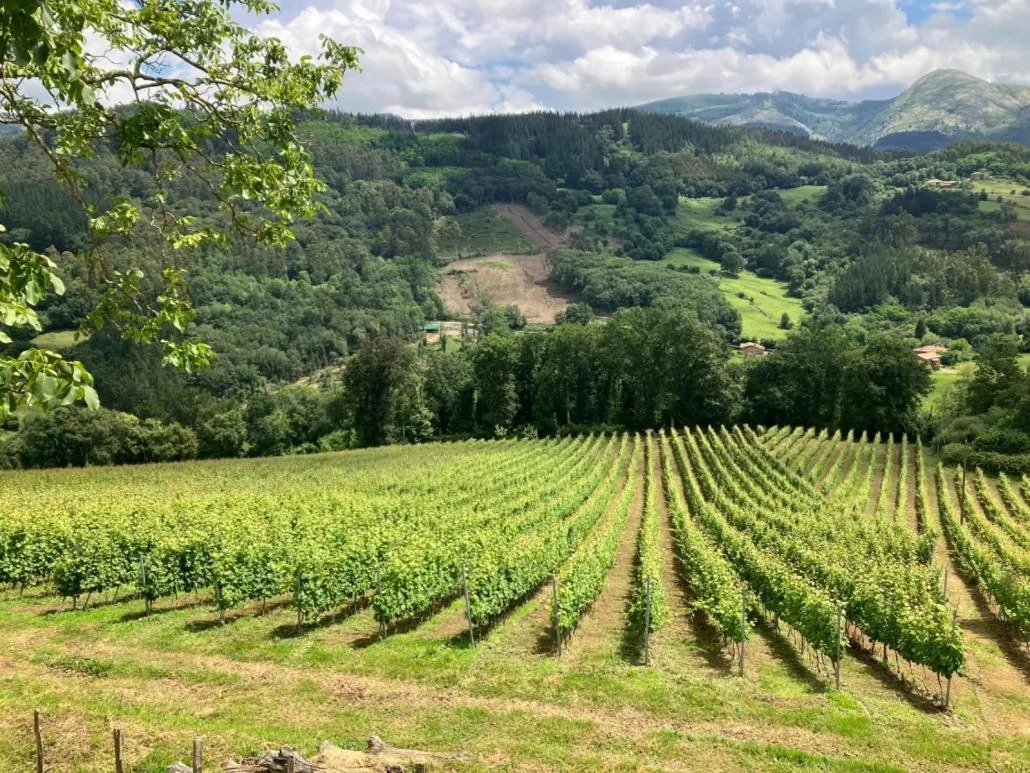 Caserío Areitz Soroa