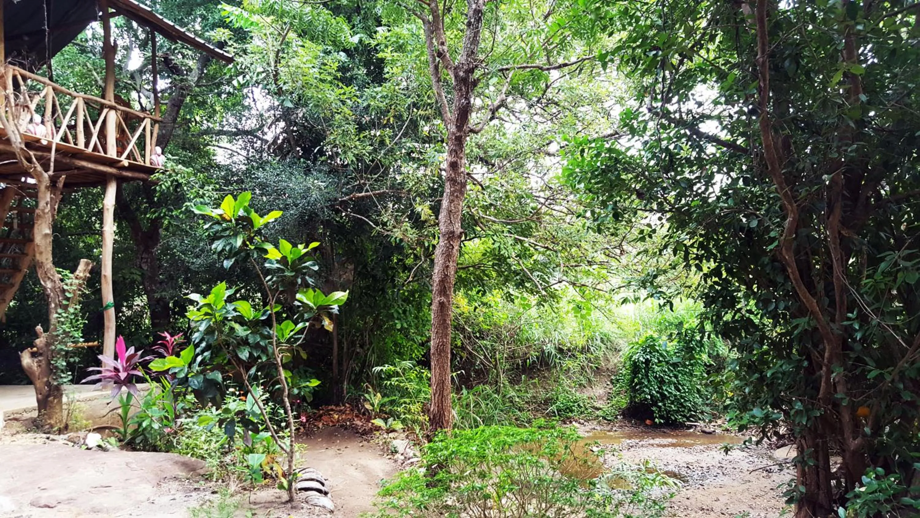 Garden view in Sigiriya River Side Villa
