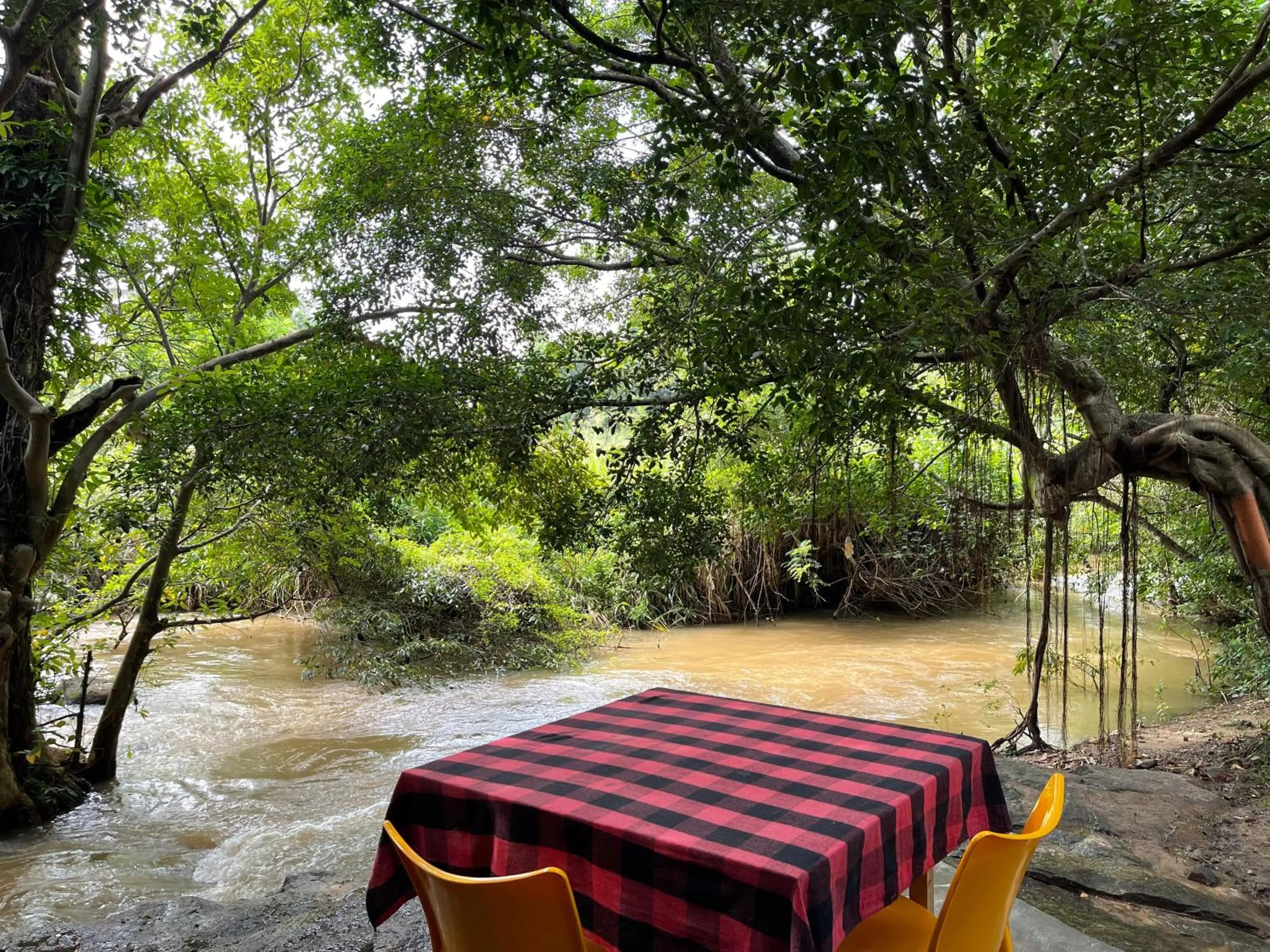 Sigiriya River Side Villa