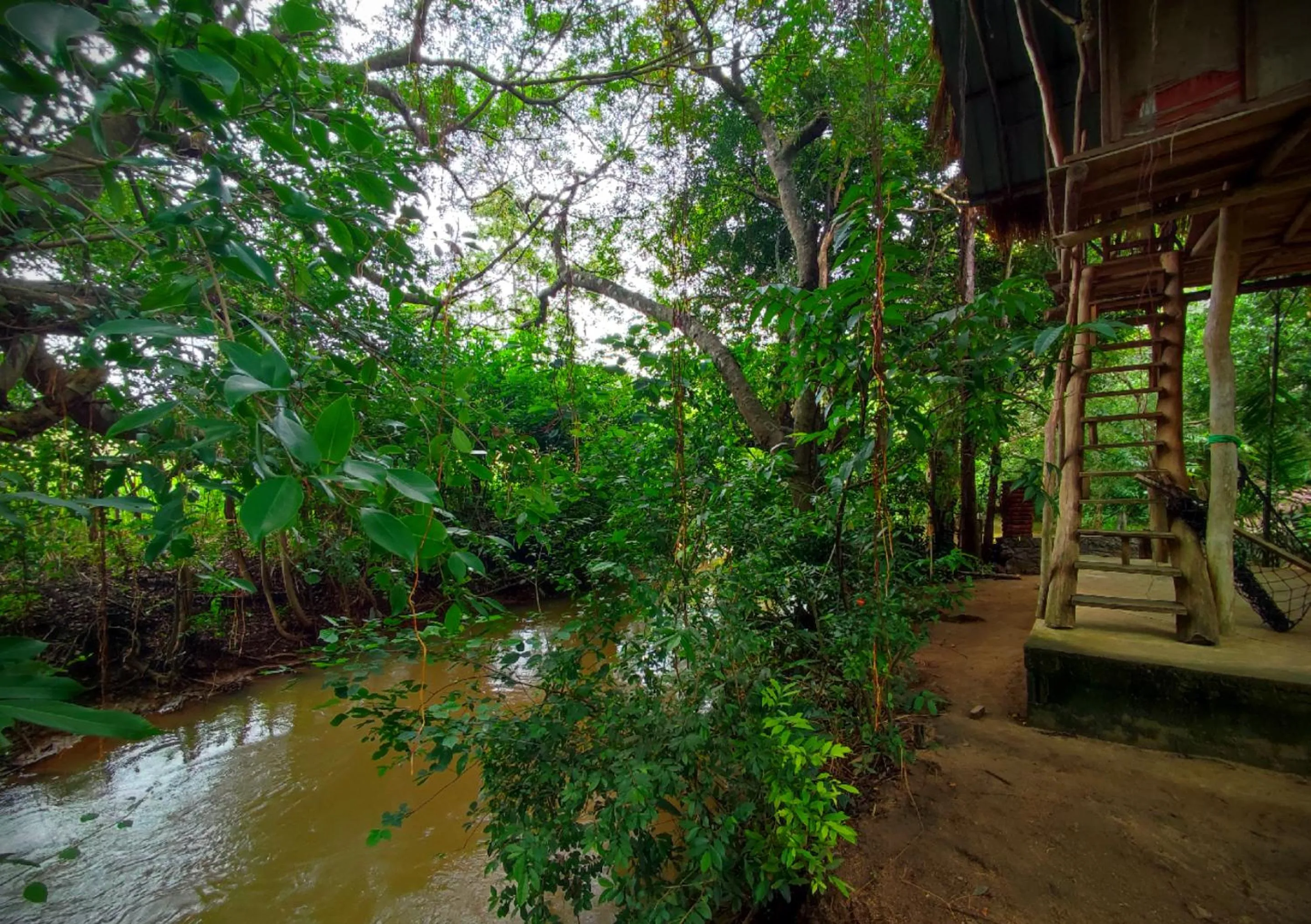 Spring in Sigiriya River Side Villa