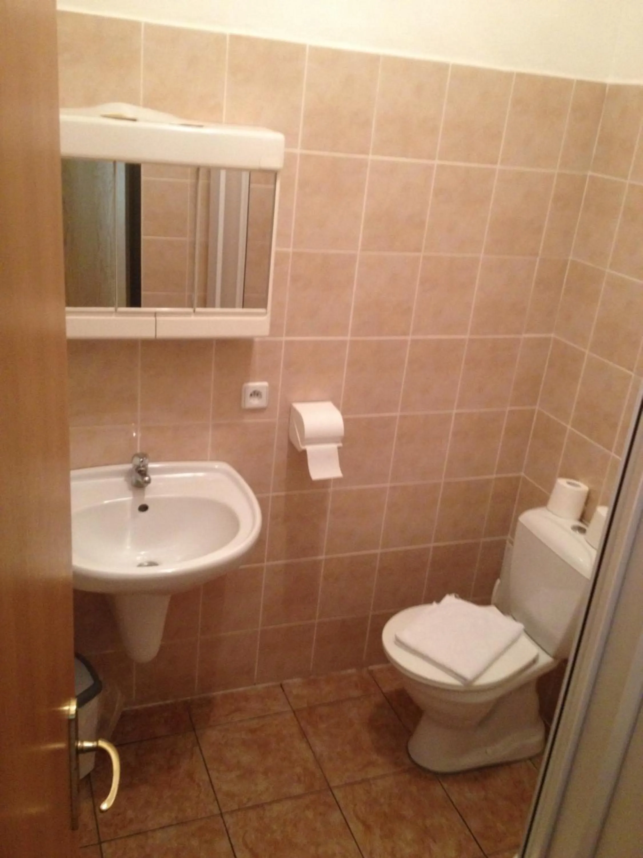 Toilet in Hotel Atawa