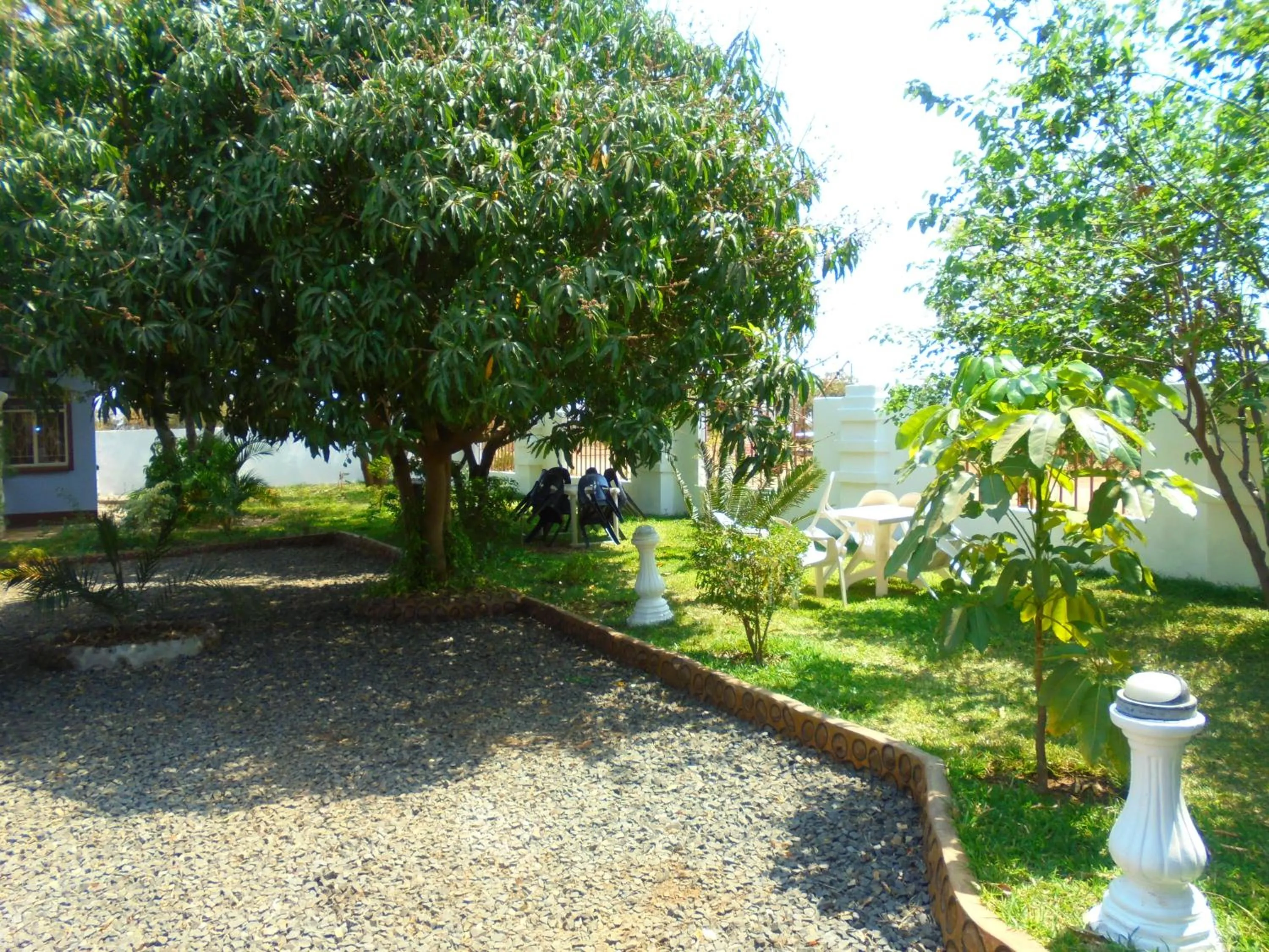 Garden in White Rose Lodge