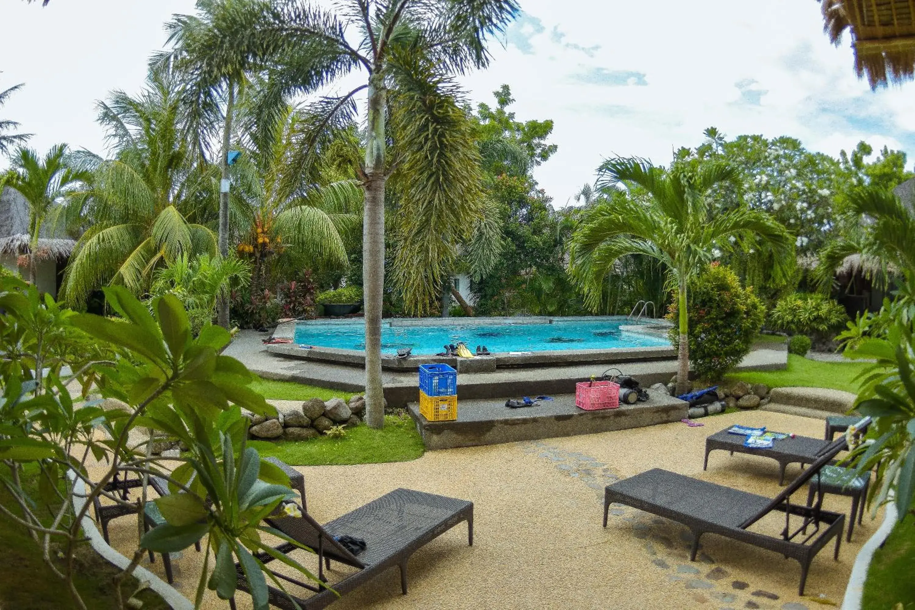 Diving, Swimming Pool in Liquid Dive Resort