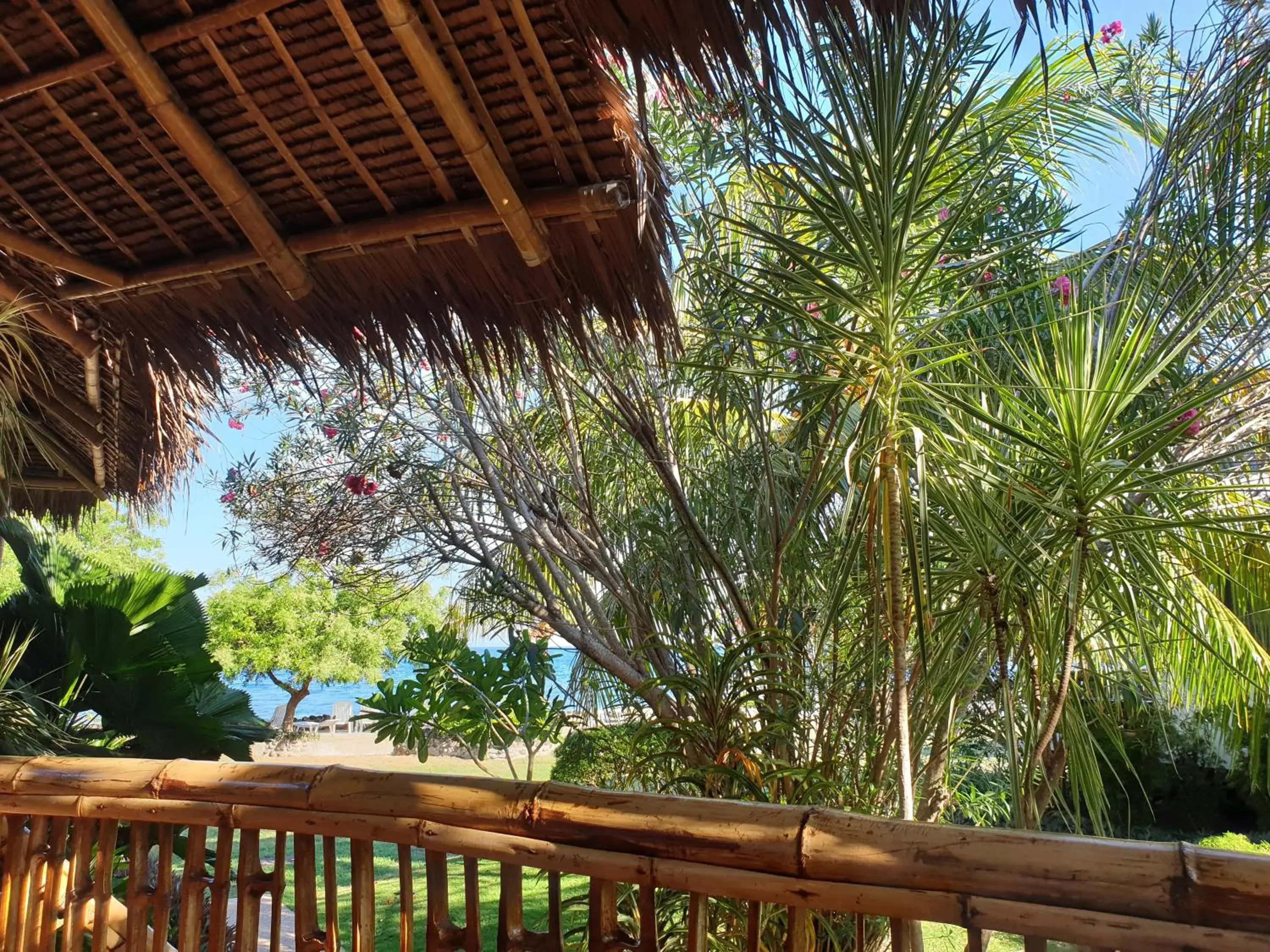 Balcony/Terrace in Liquid Dive Resort