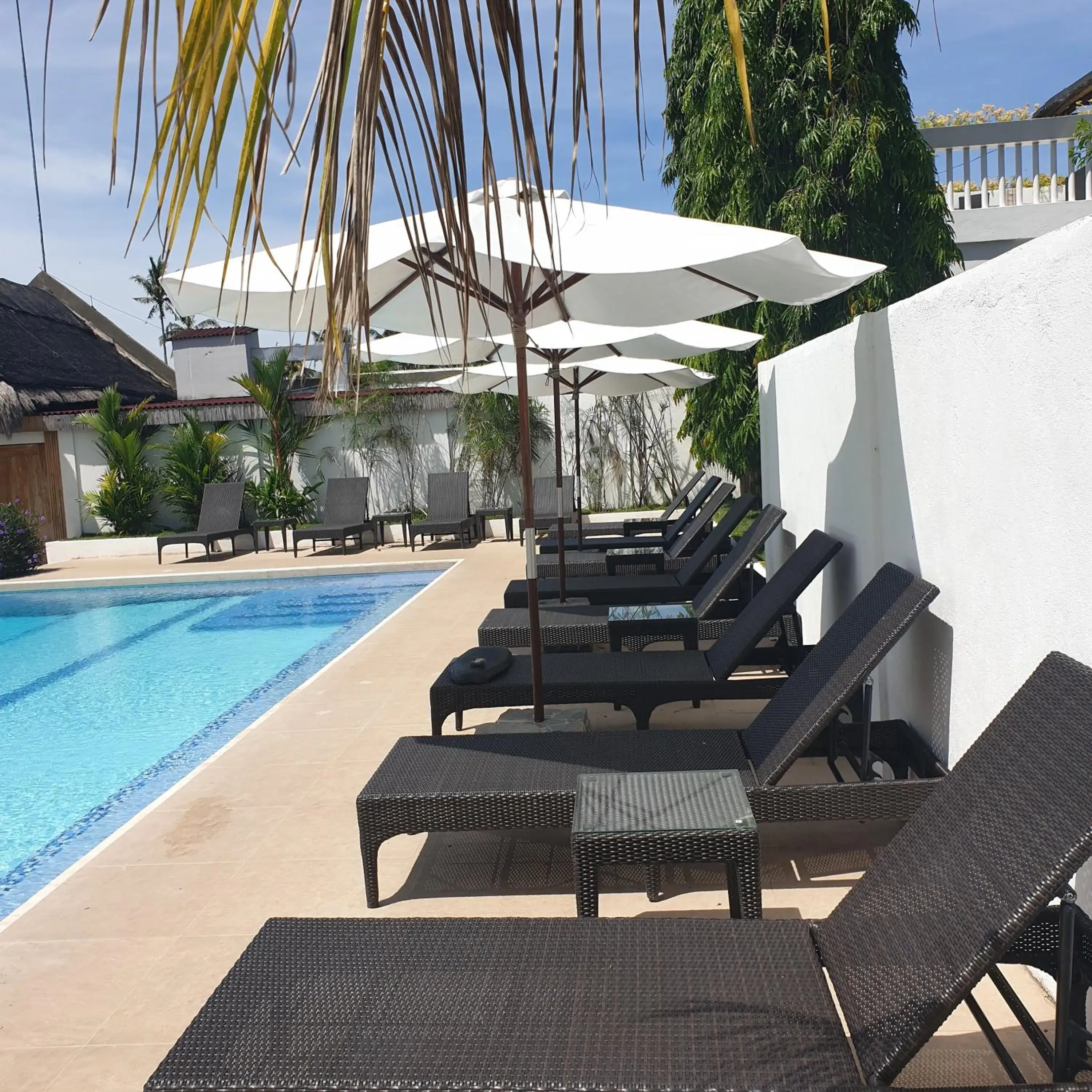 Swimming Pool in Liquid Dive Resort