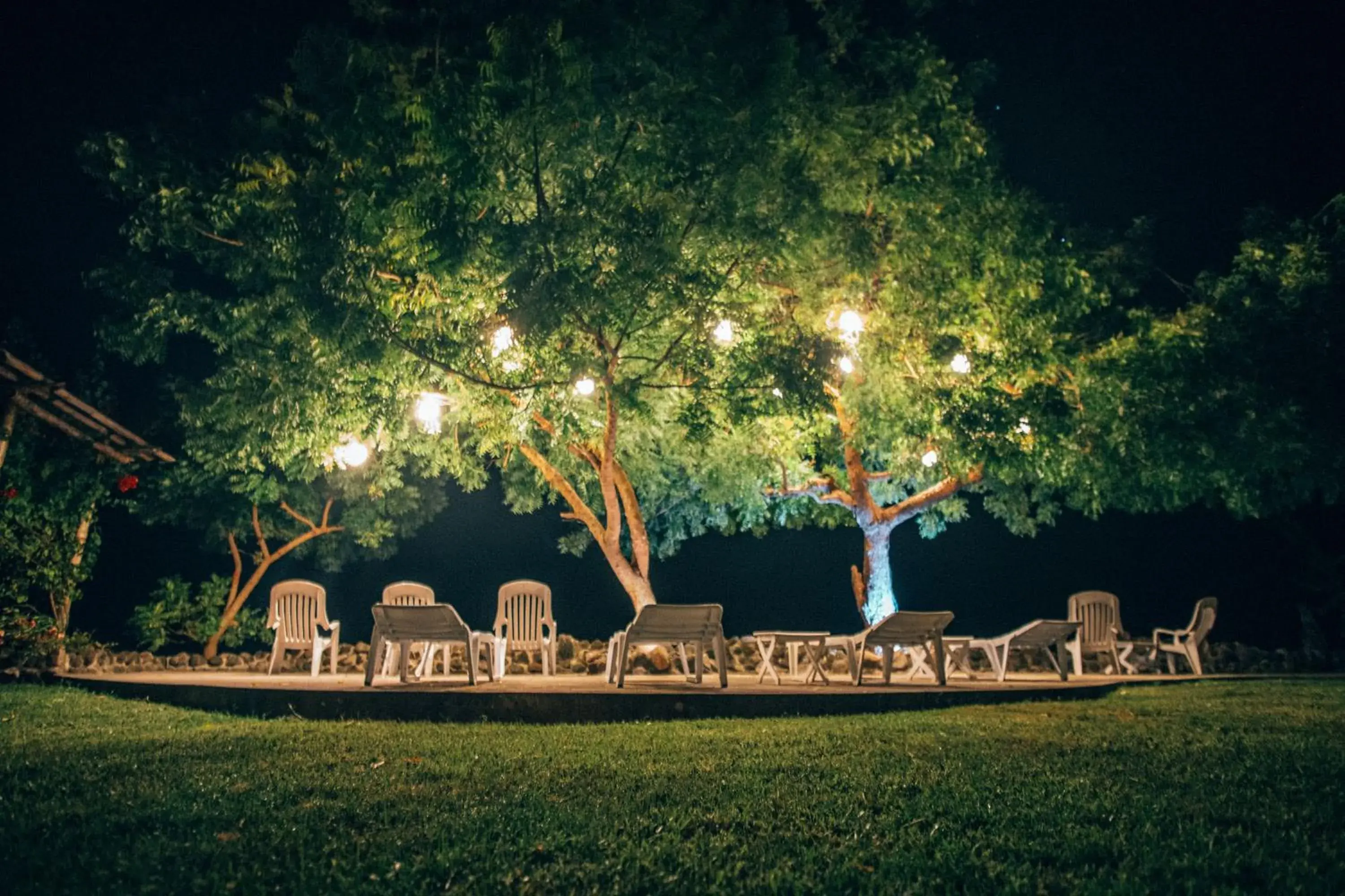 Garden, Property Building in Liquid Dive Resort