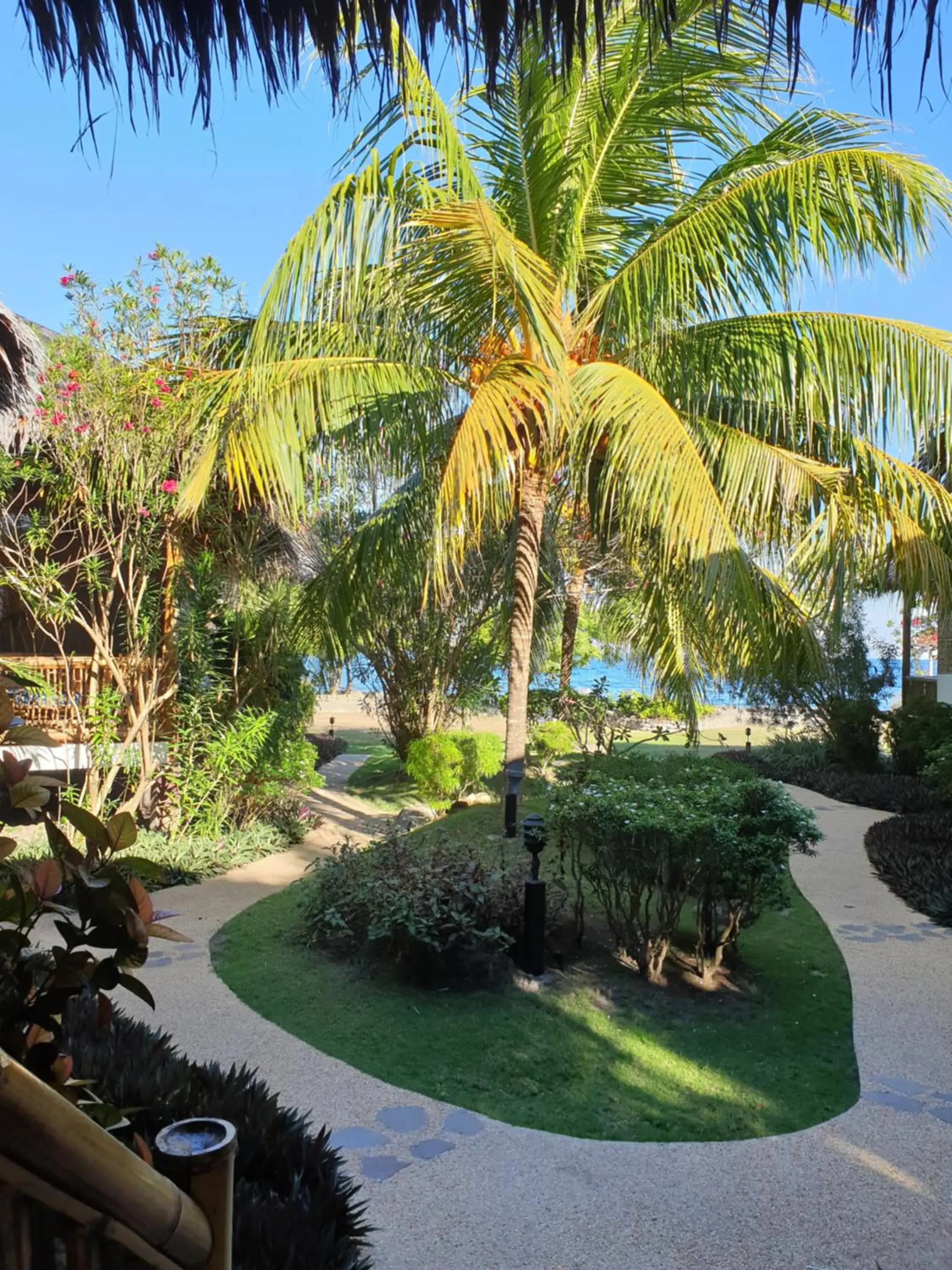 Garden, Pool View in Liquid Dive Resort