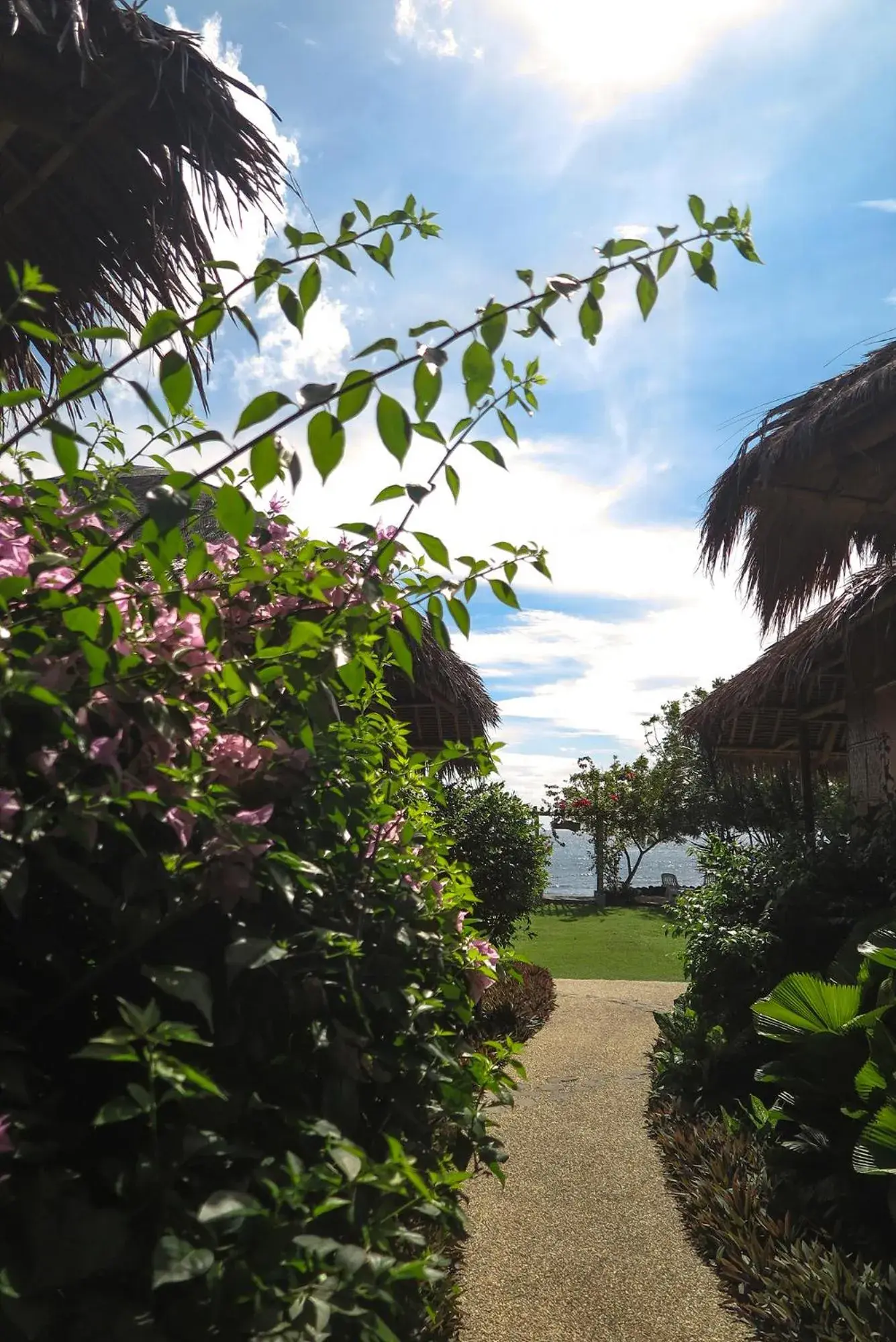 Garden in Liquid Dive Resort