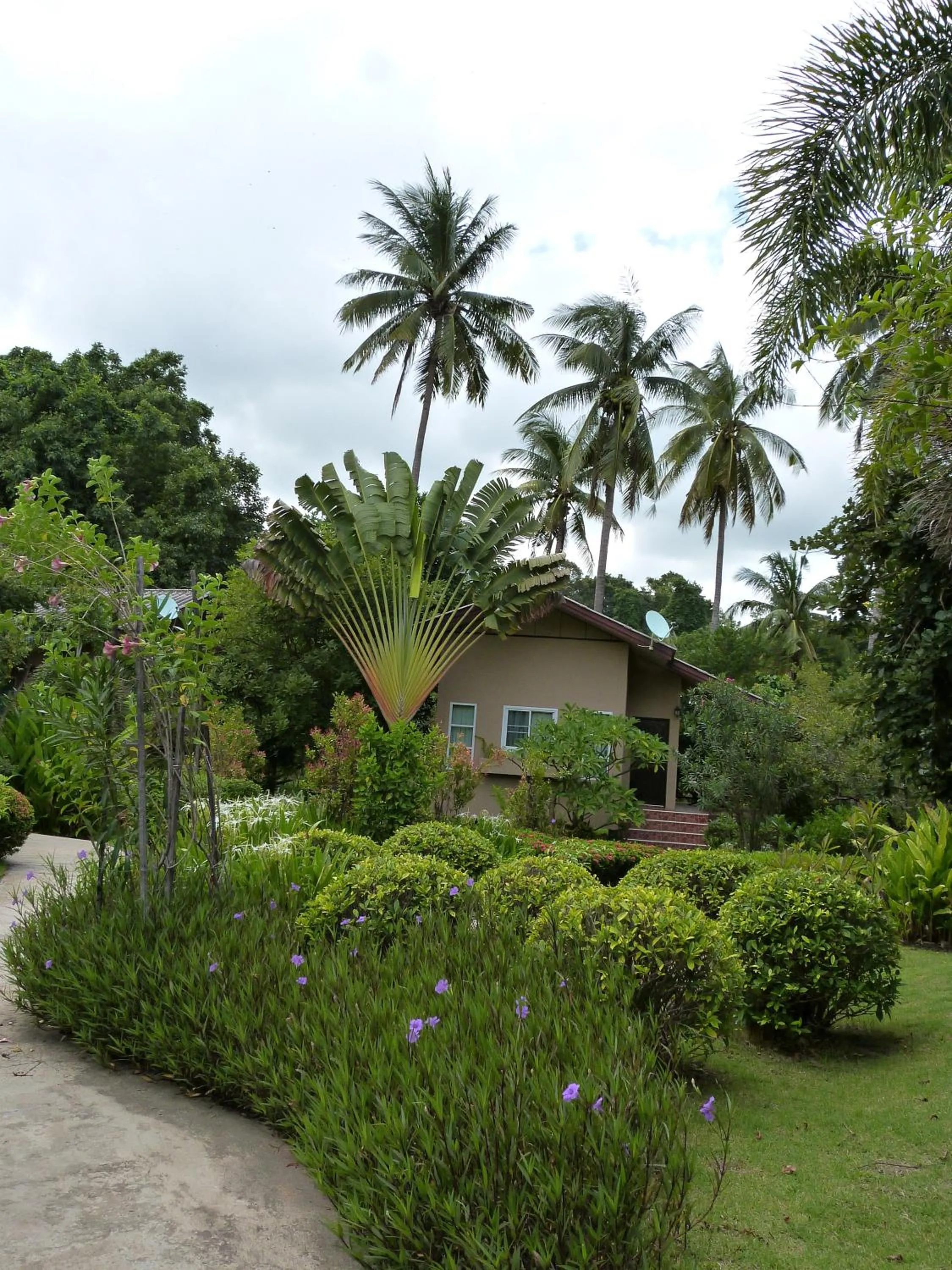 Bansuanrachawadee B&b