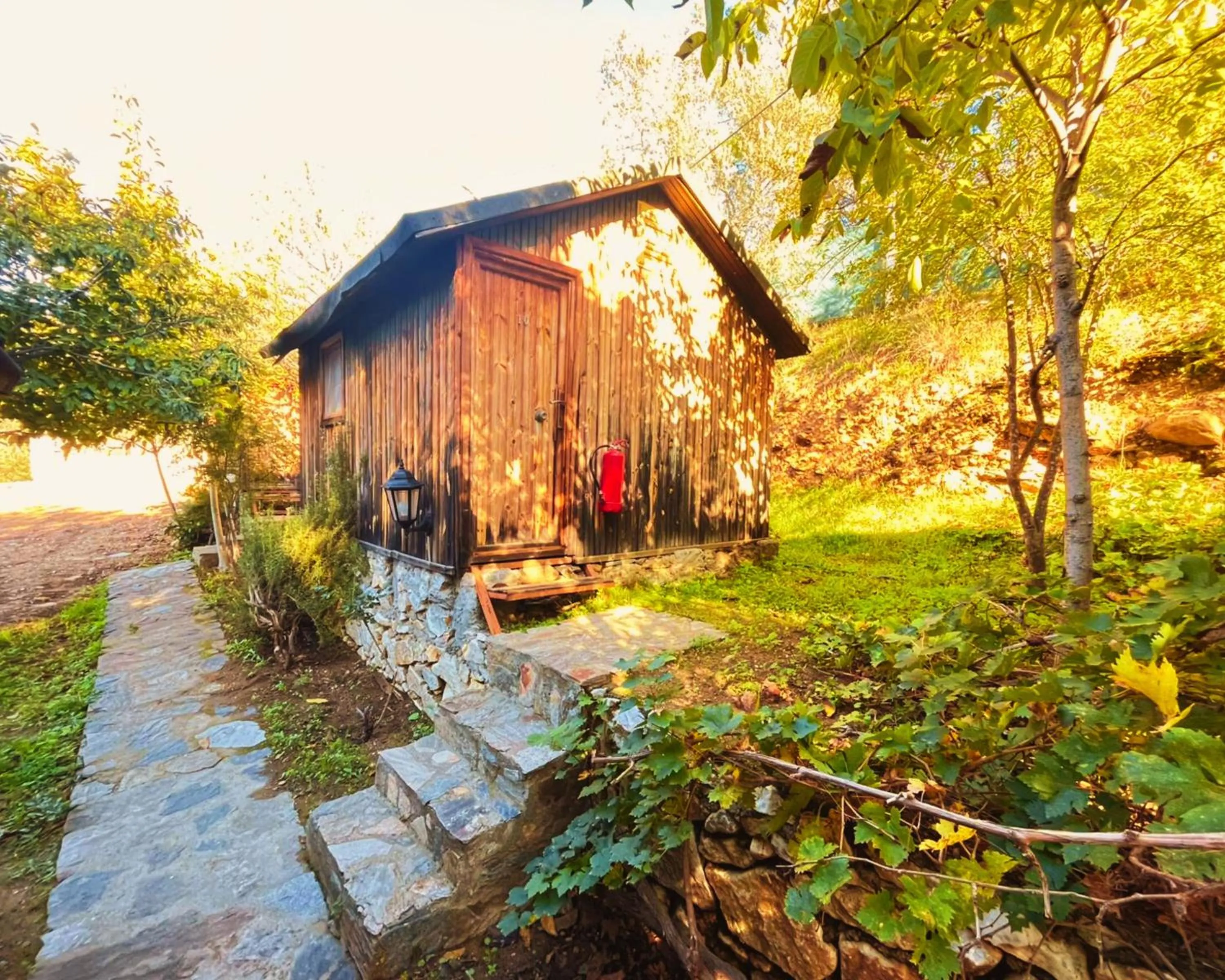 Double Room in Kybele Nature Life