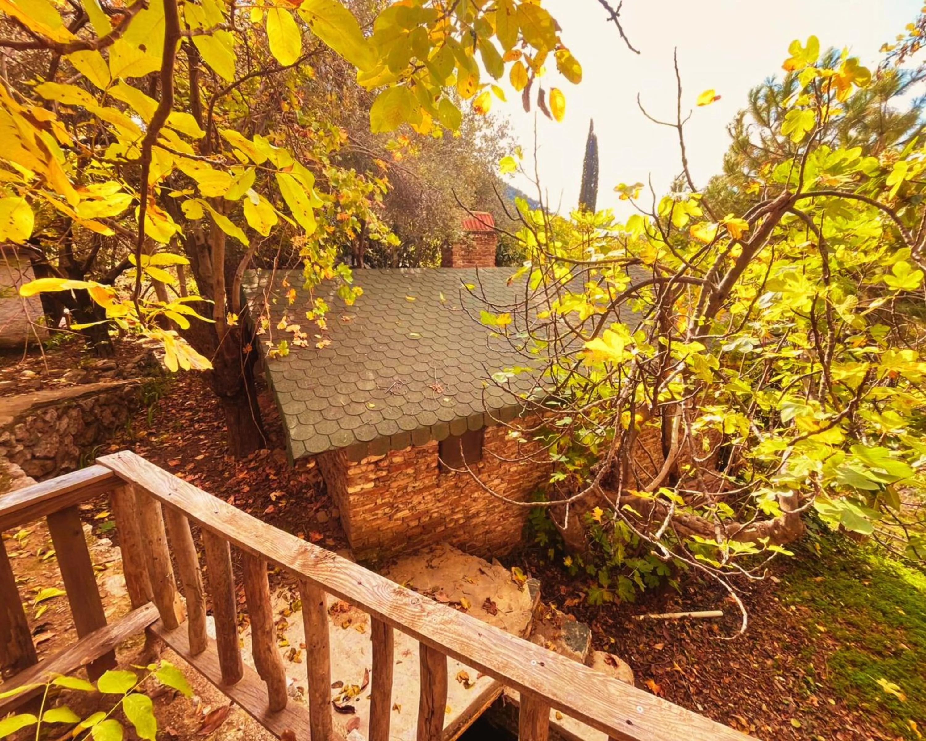 Property building in Kybele Nature Life