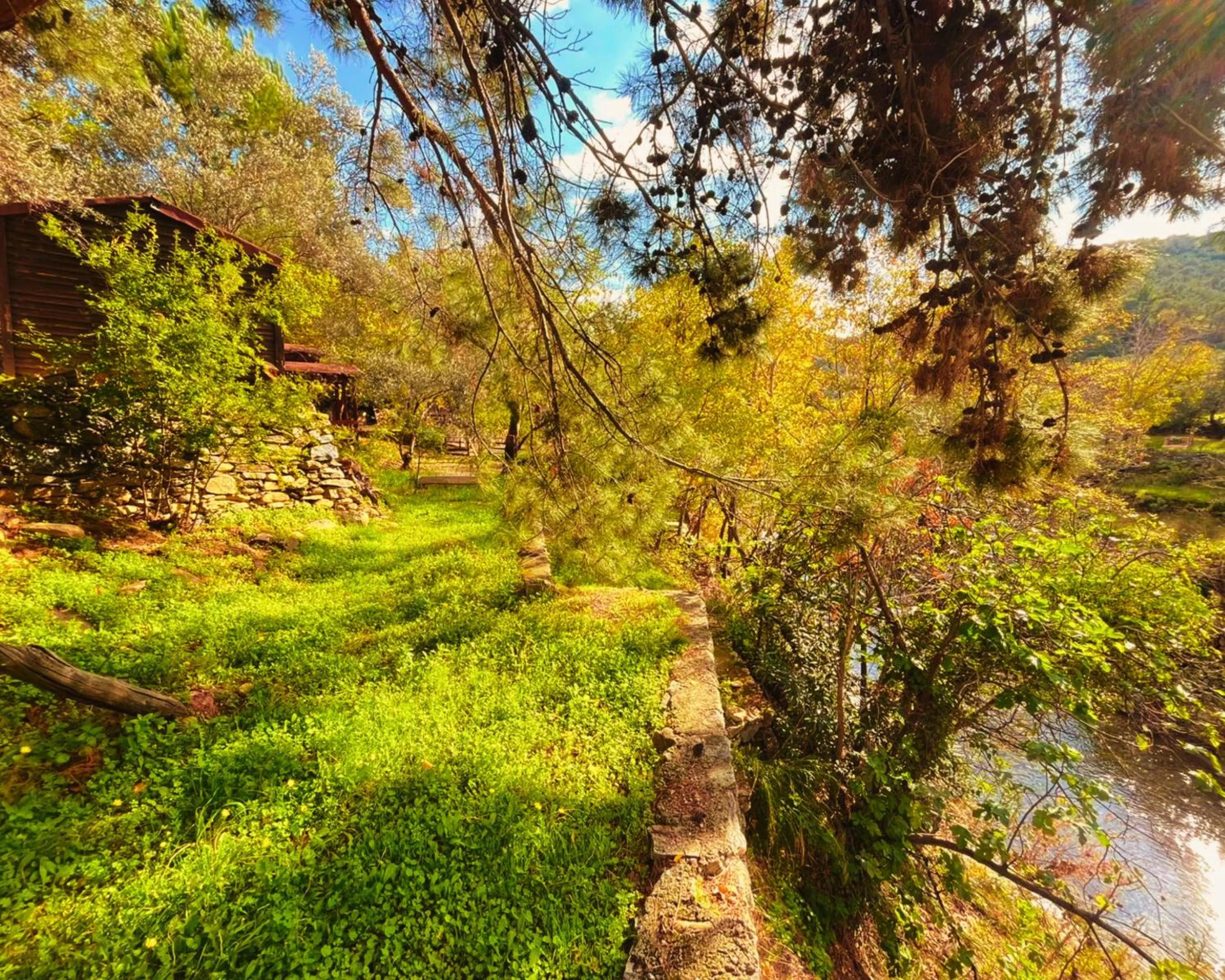 Nearby landmark in Kybele Nature Life
