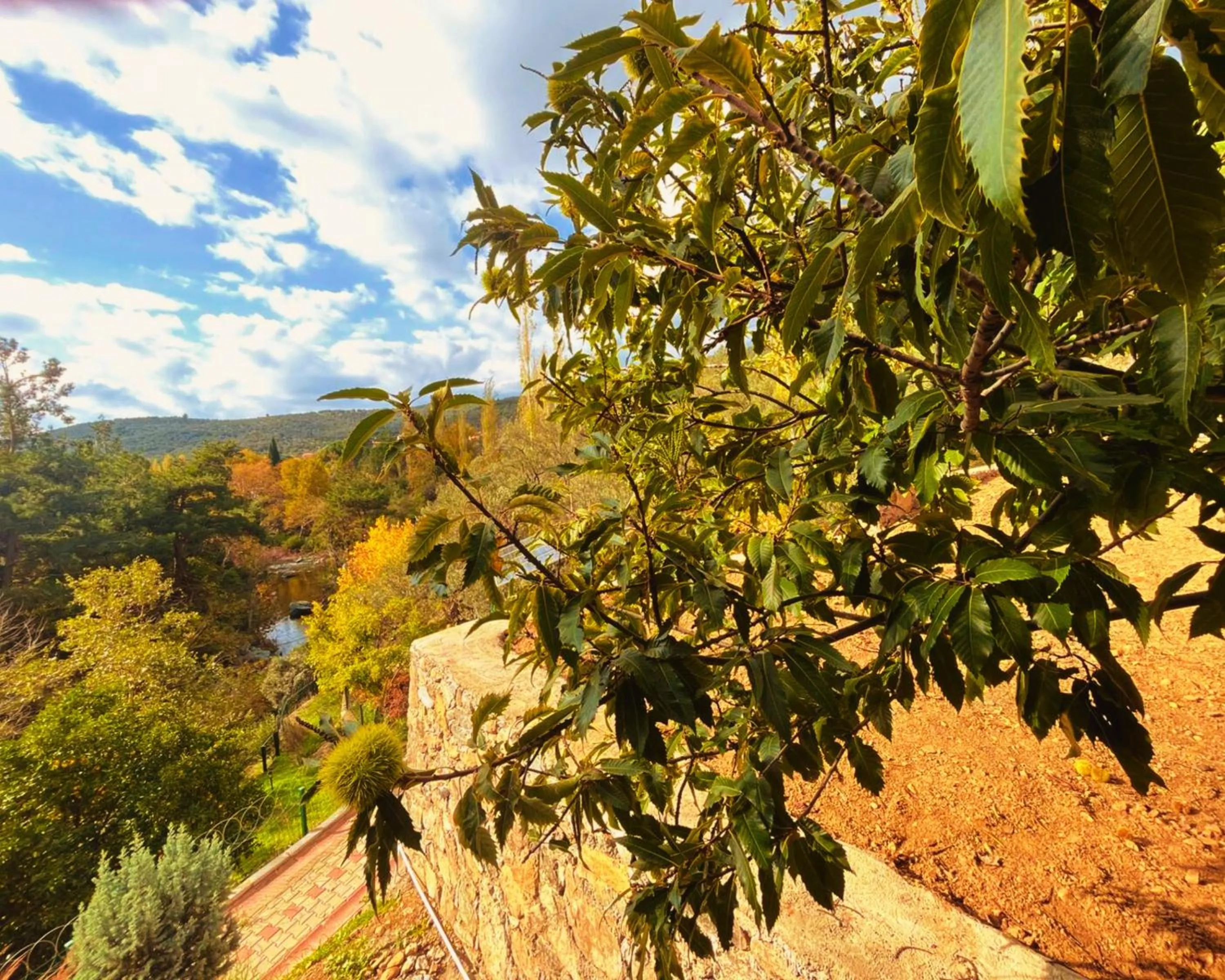 Spring in Kybele Nature Life