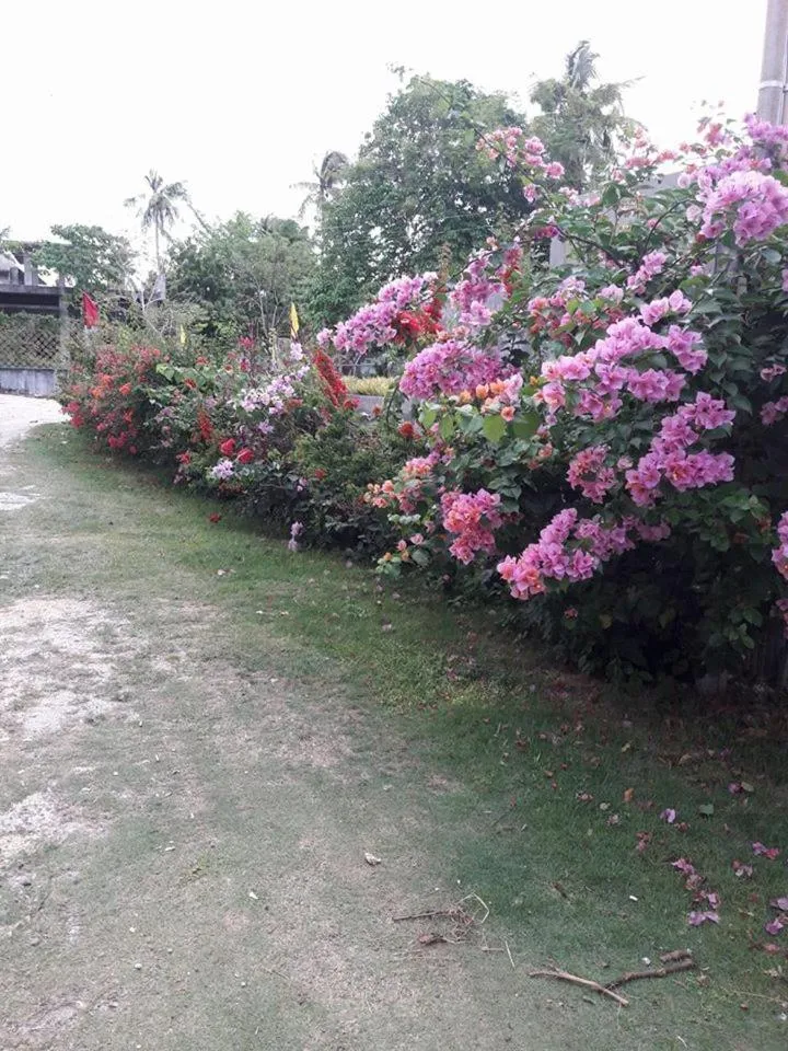 Stanley House Seaview Apartments