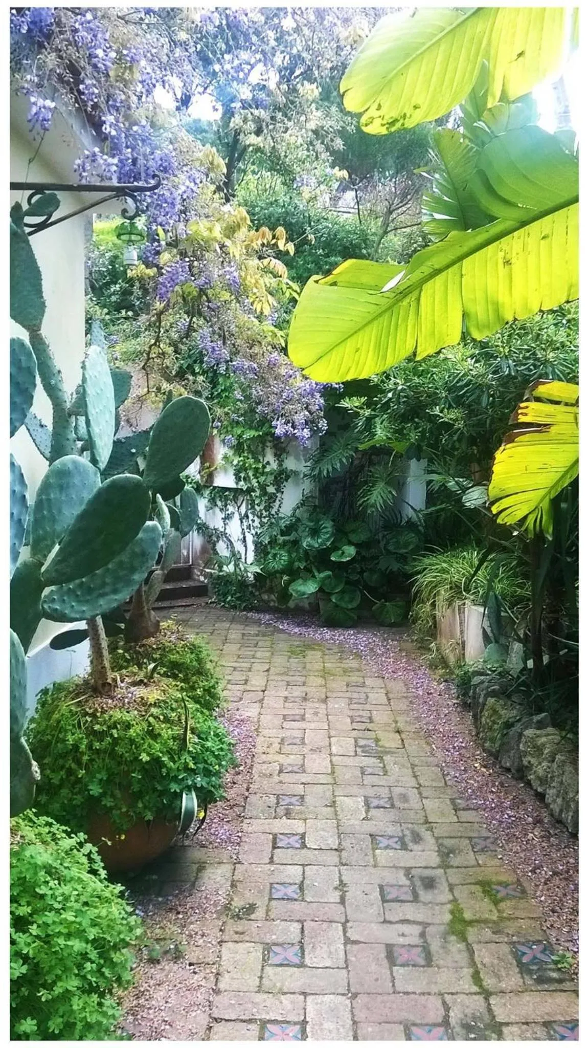 Garden in B&B La Salamandra Kitchengarden