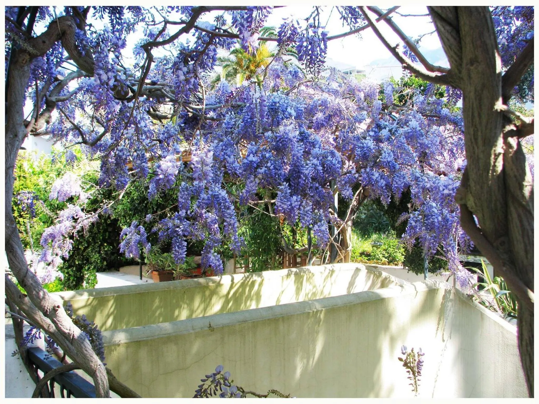 Garden in B&B La Salamandra Kitchengarden