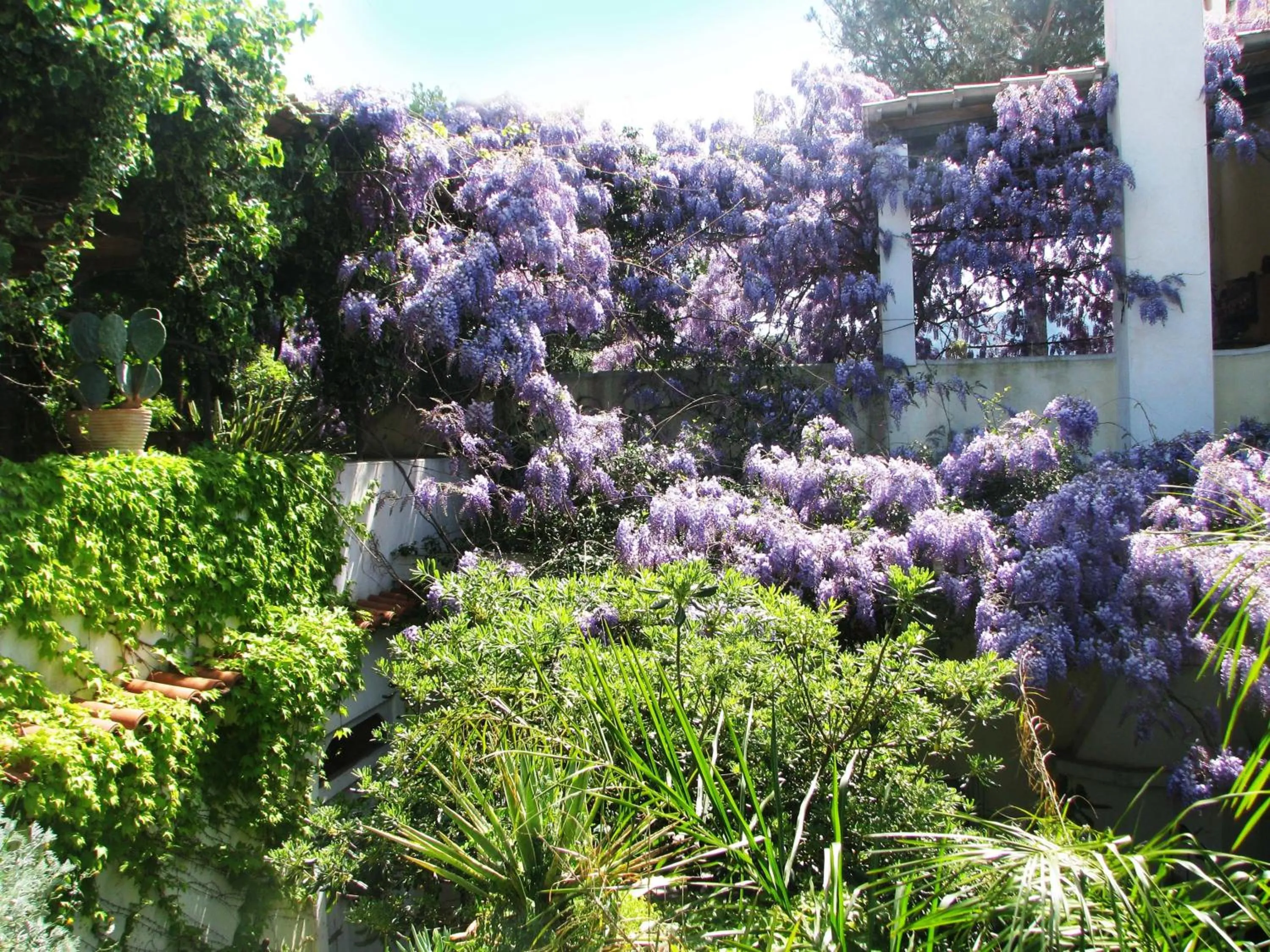 Garden in B&B La Salamandra Kitchengarden