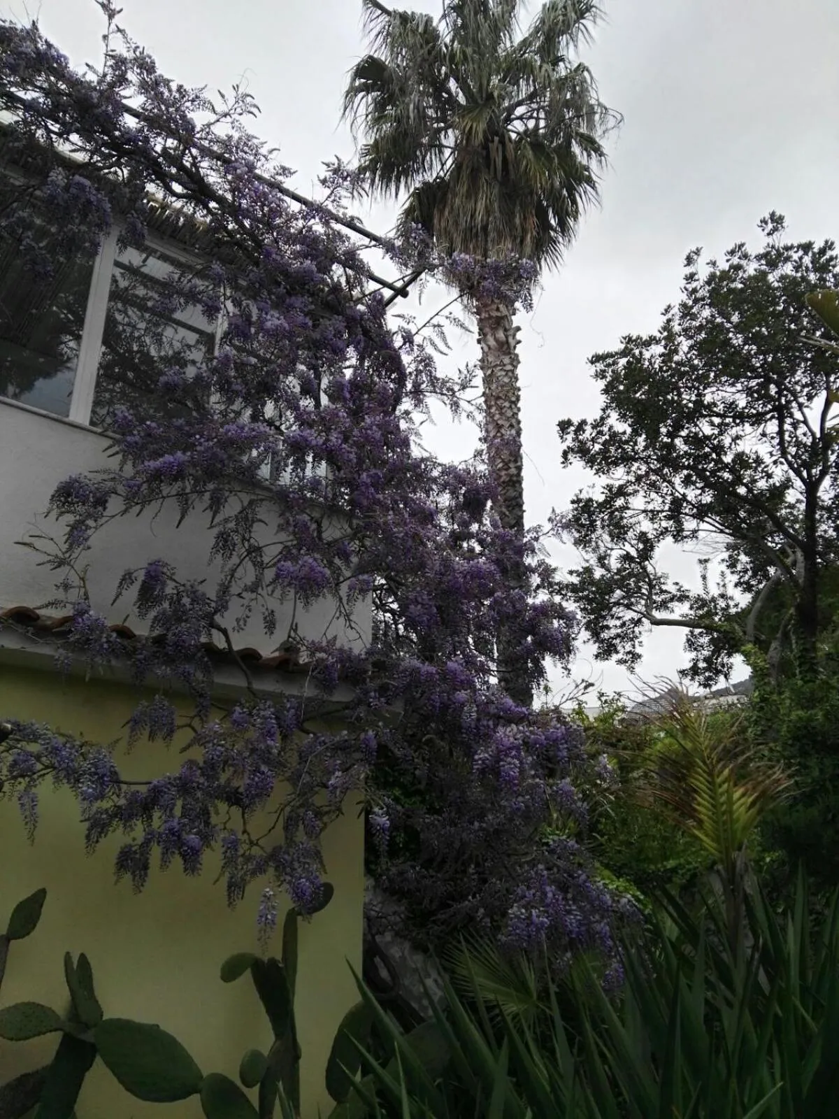 Garden in B&B La Salamandra Kitchengarden