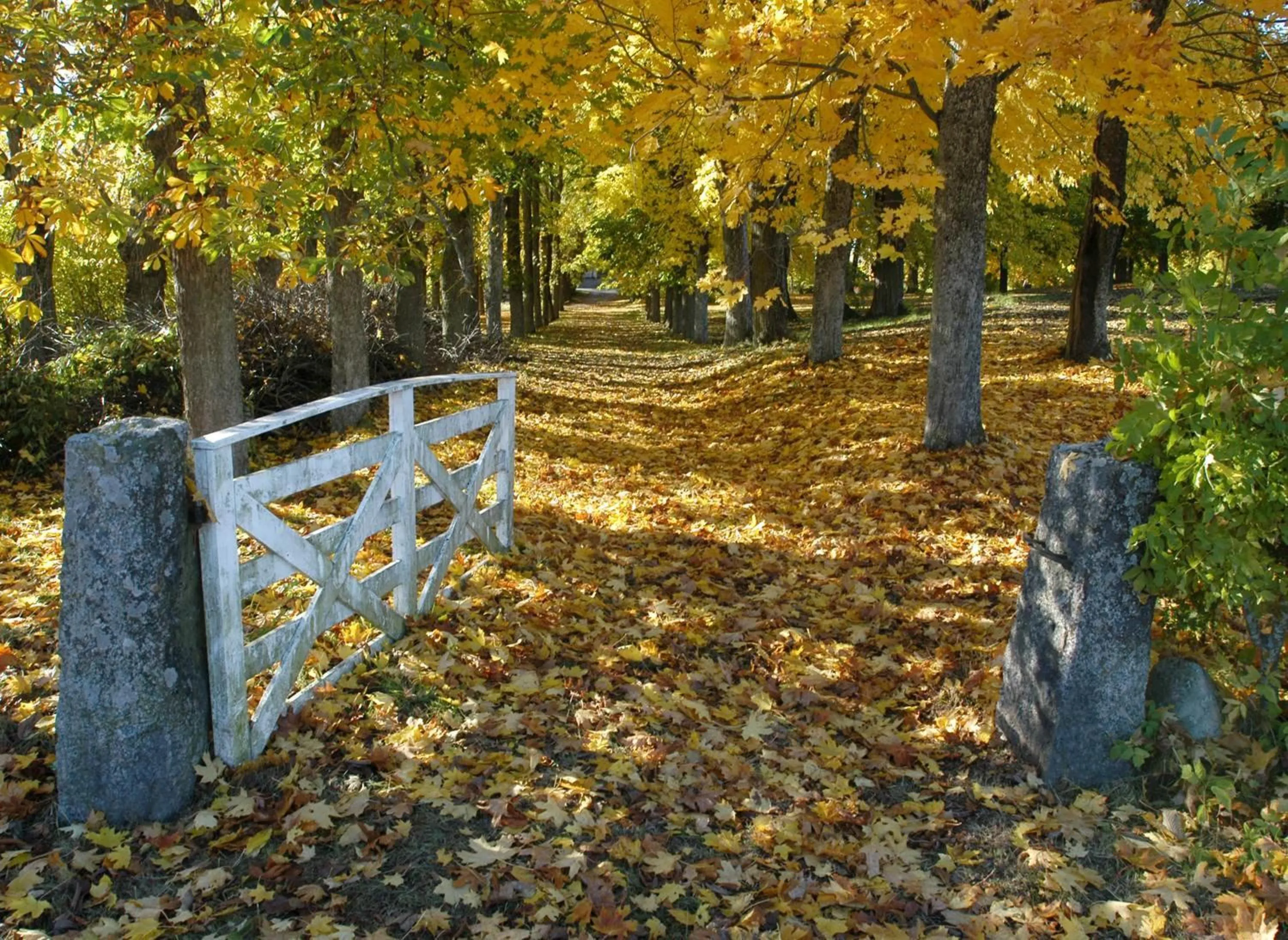 Garden in Valla Folkhögskola