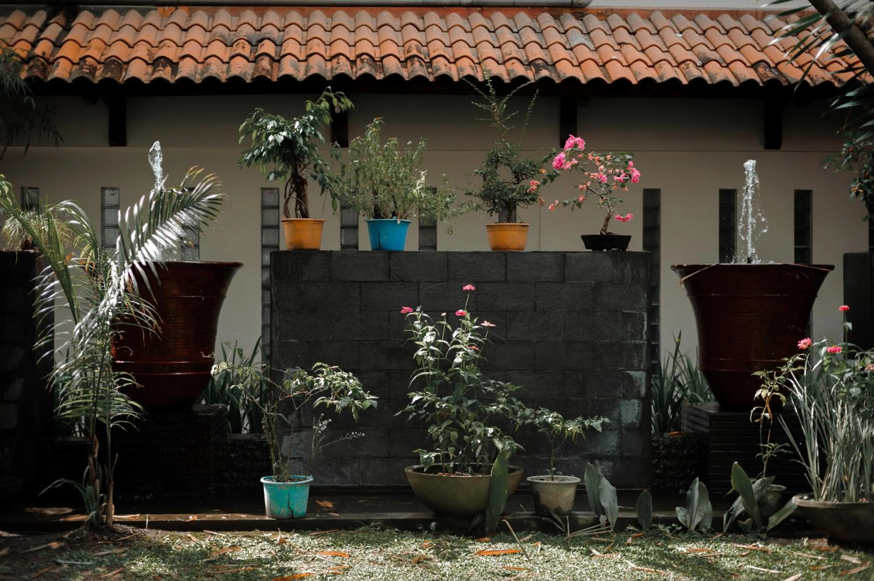 Garden in Surya Kencana Seaside Hotel