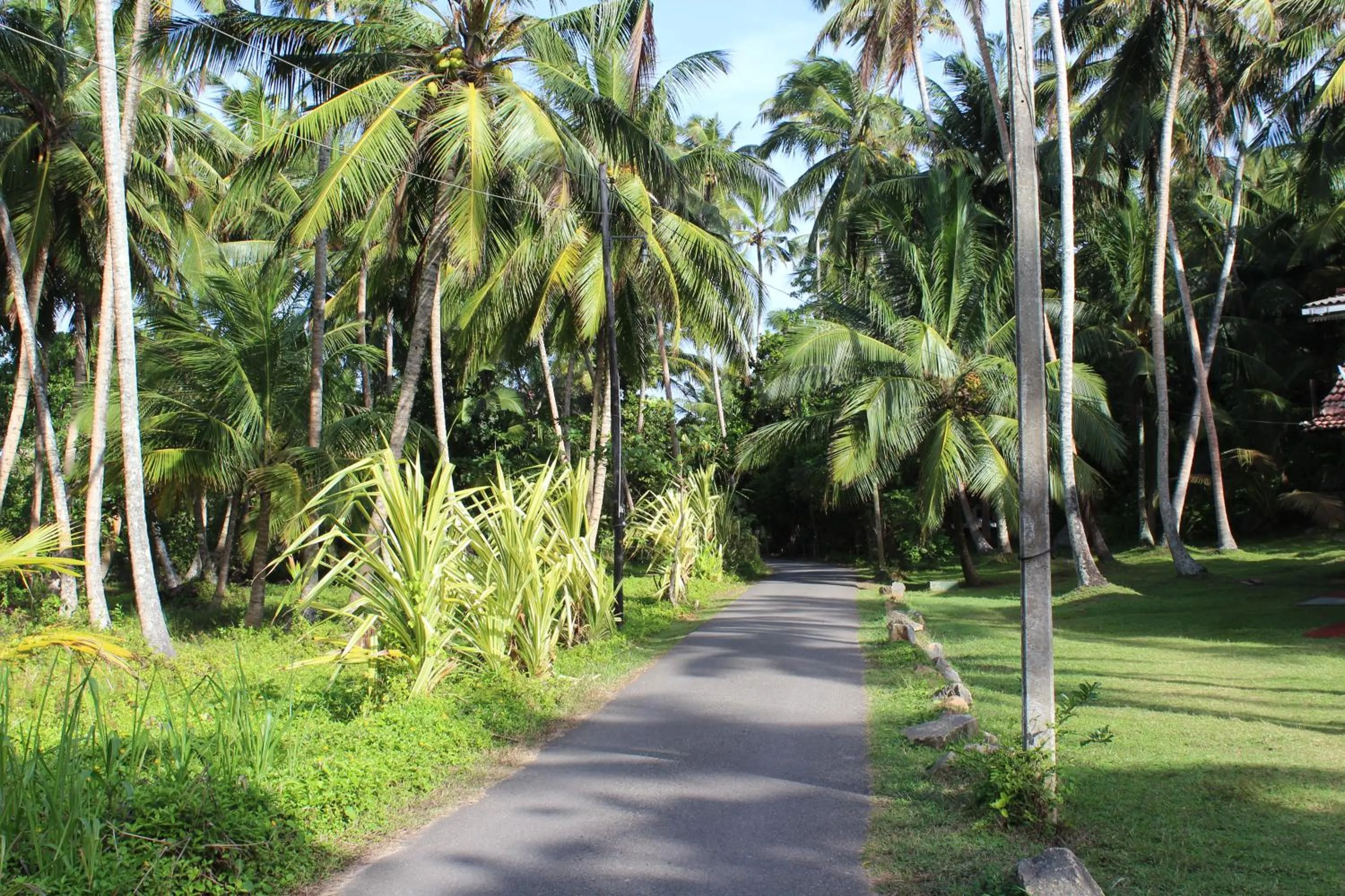 Off site in Santori Unawatuna