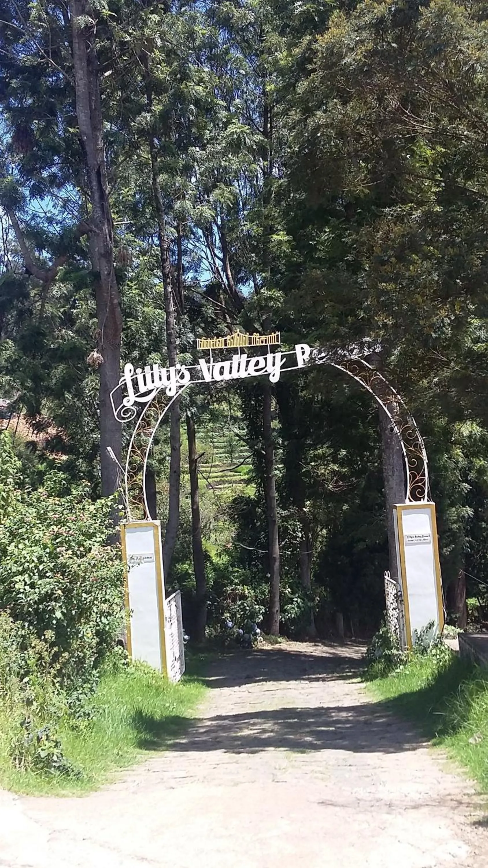 Day in Lilly's Valley Resort