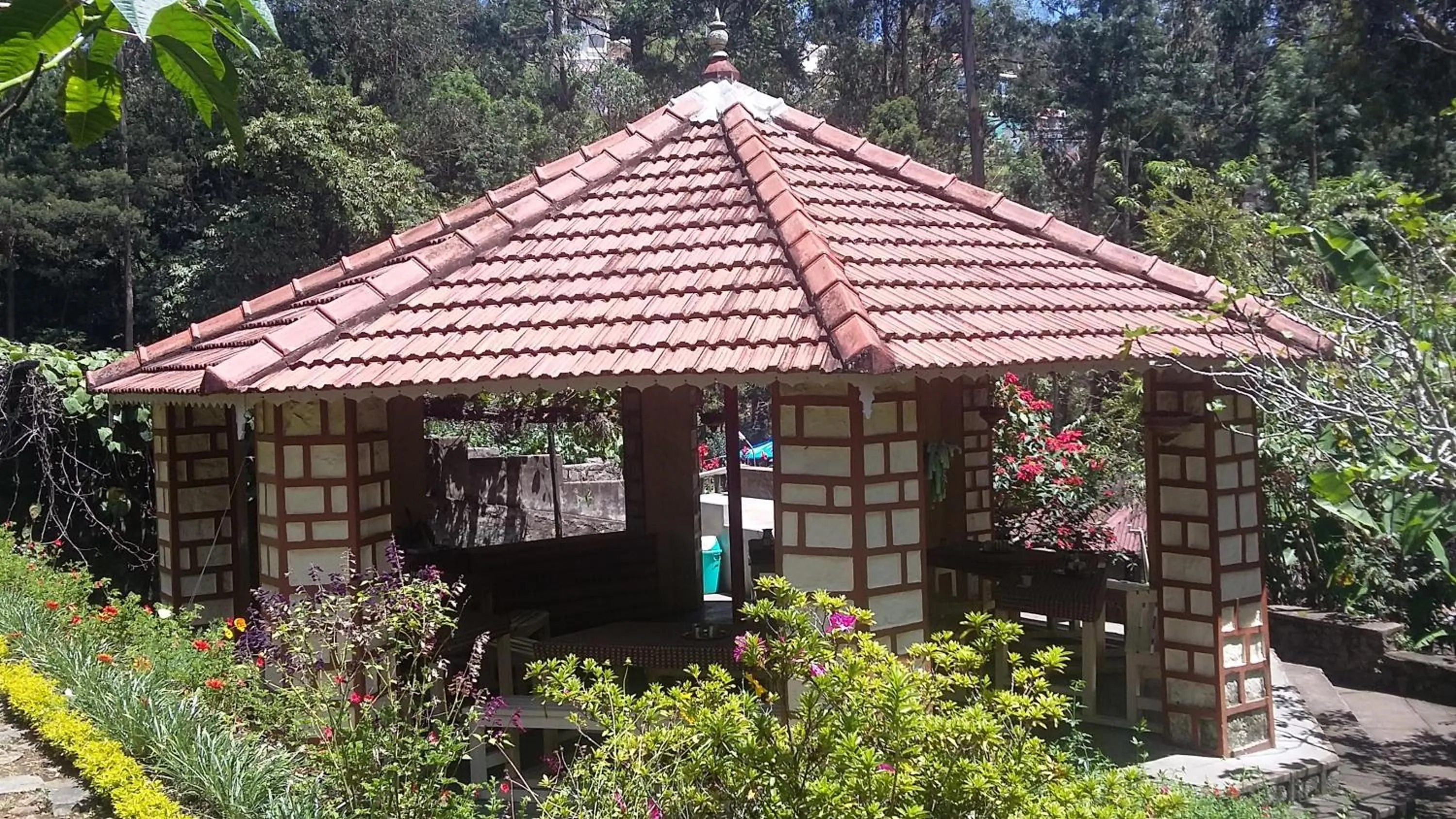 Day in Lilly's Valley Resort