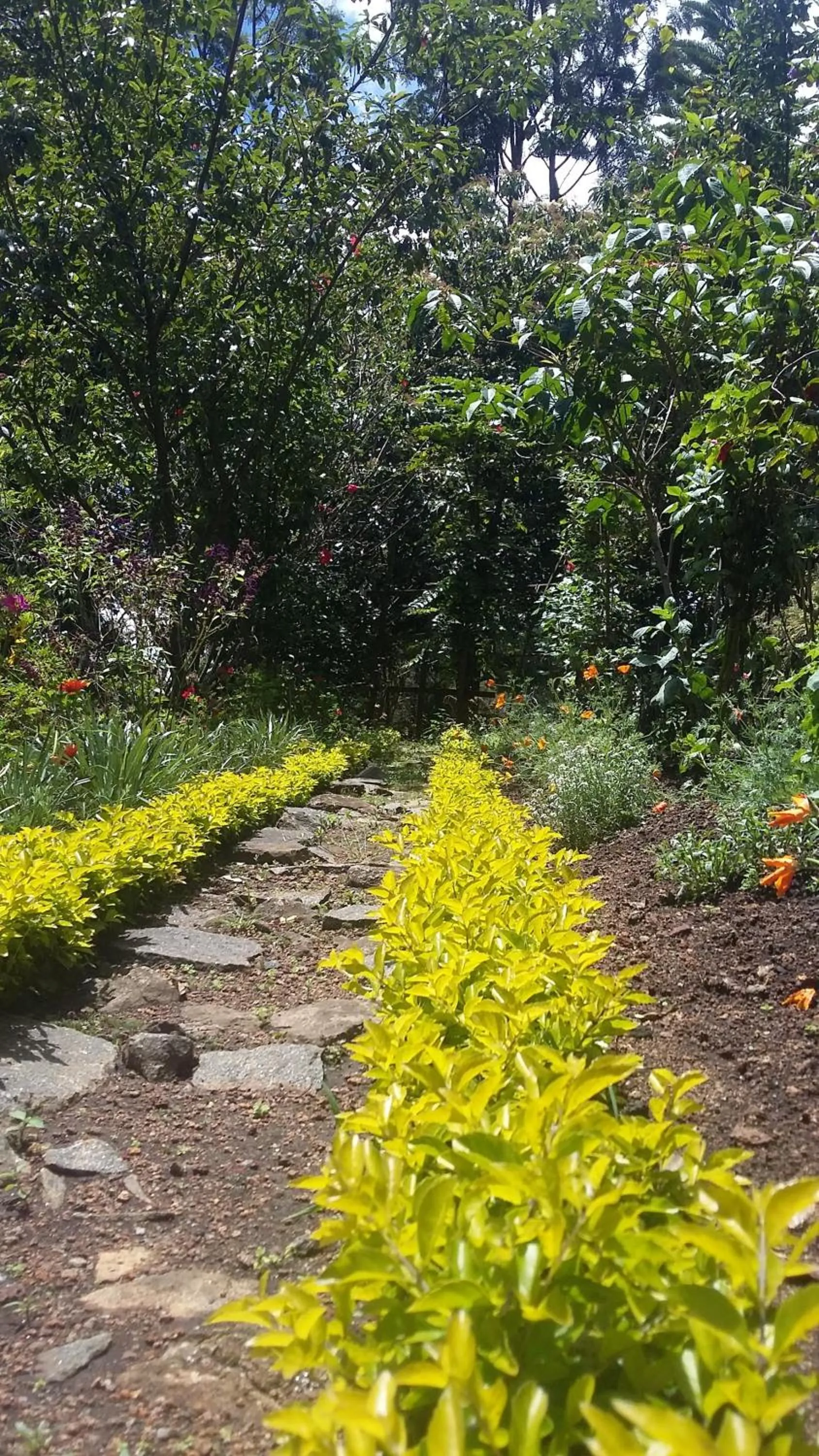 Other in Lilly's Valley Resort