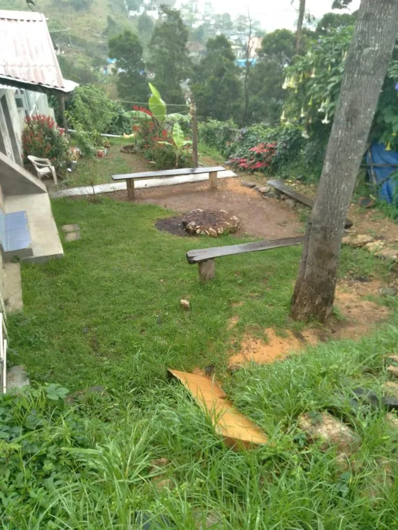 Lilly's Valley Resort